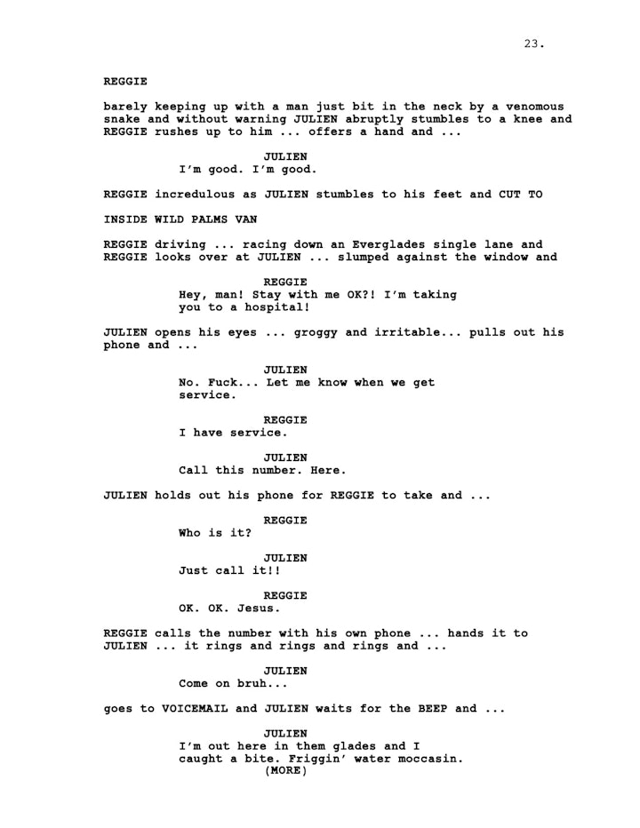 Ellis Bahl - Writing Sample - WP_3