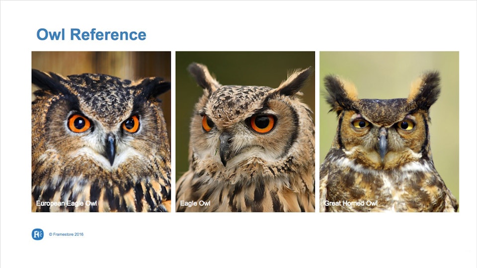 Xzyal - Nigel the Owl - Owl referece