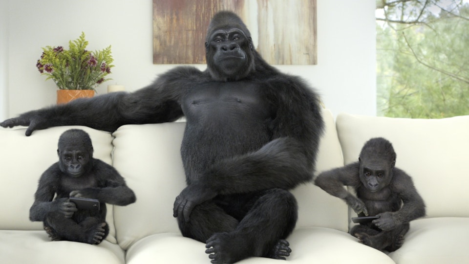 Corning Gorilla Glass - Counter Attacks and Sneak Attacks