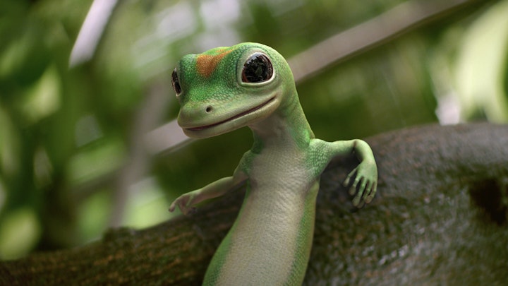 Every Gecko spot I Animation Directed in chronological order - 