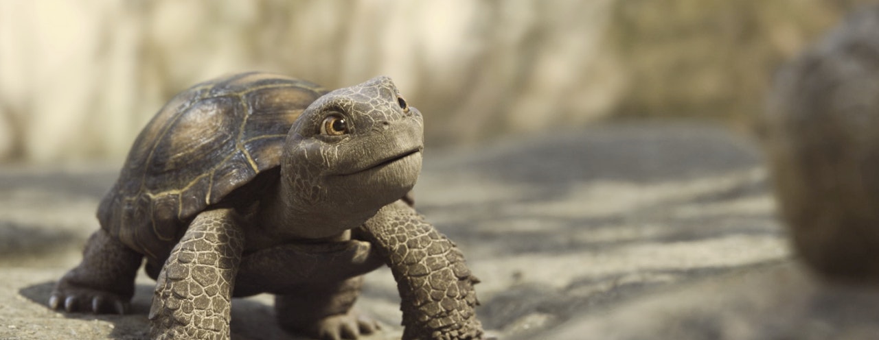 GEICO - Turtles Character Development - vfx