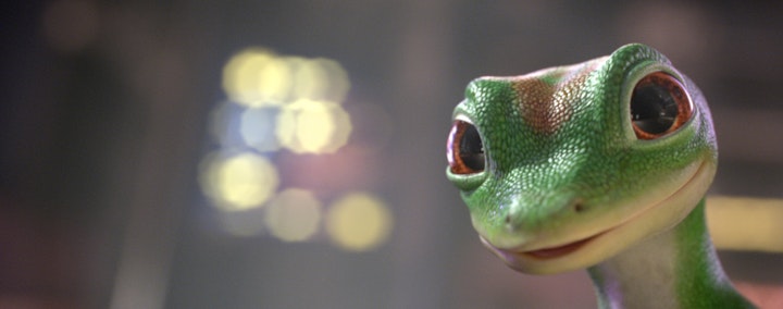 The GEICO Gecko Character Design