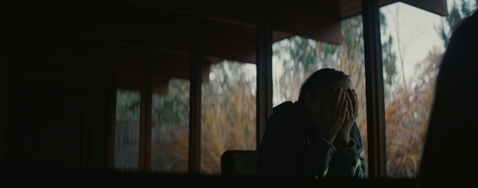 Stuart Loop LOOP - Stuart Langfield / Writer & Director