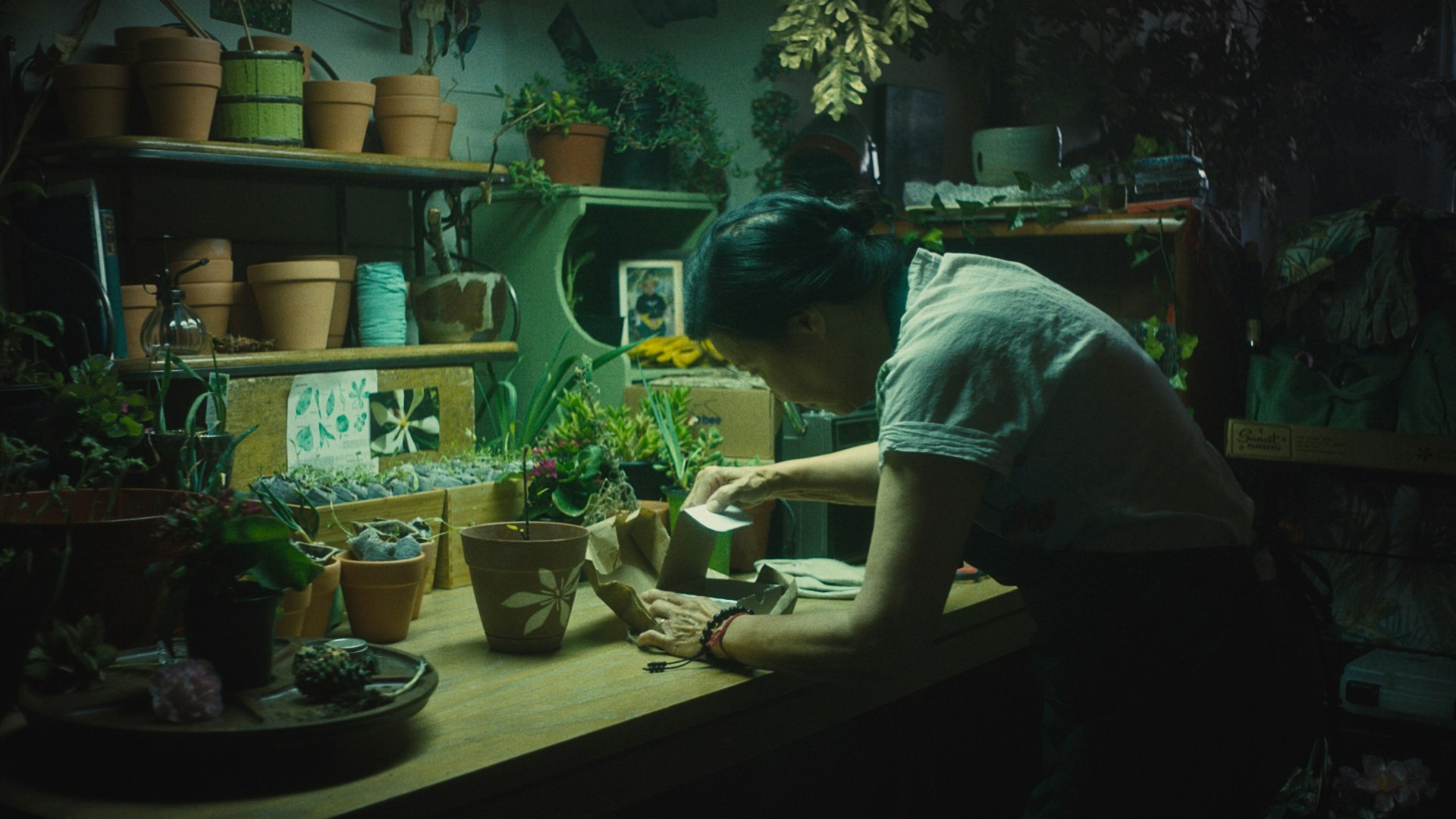 In Full Bloom Maegan Houang In Full Bloom Maegan Houang