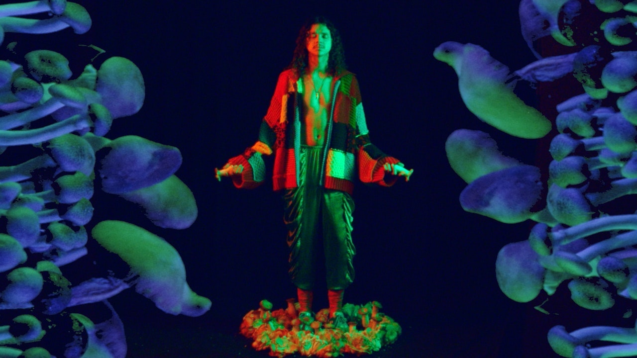 ‘Mushrooms’ Elisha Smith-Leverock for Nowness