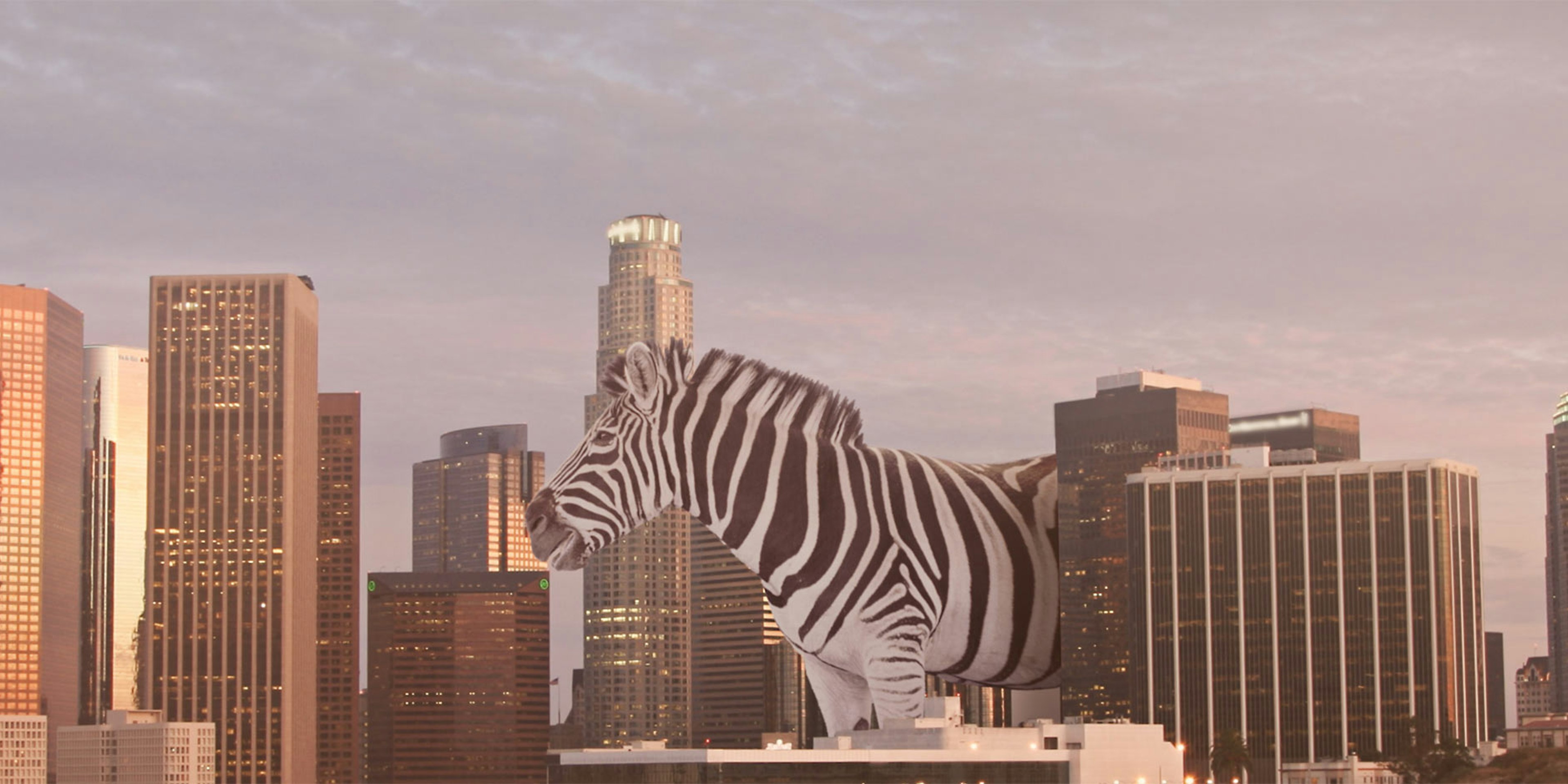 The Best Resources To Get Together, Stay Creative And Inspired