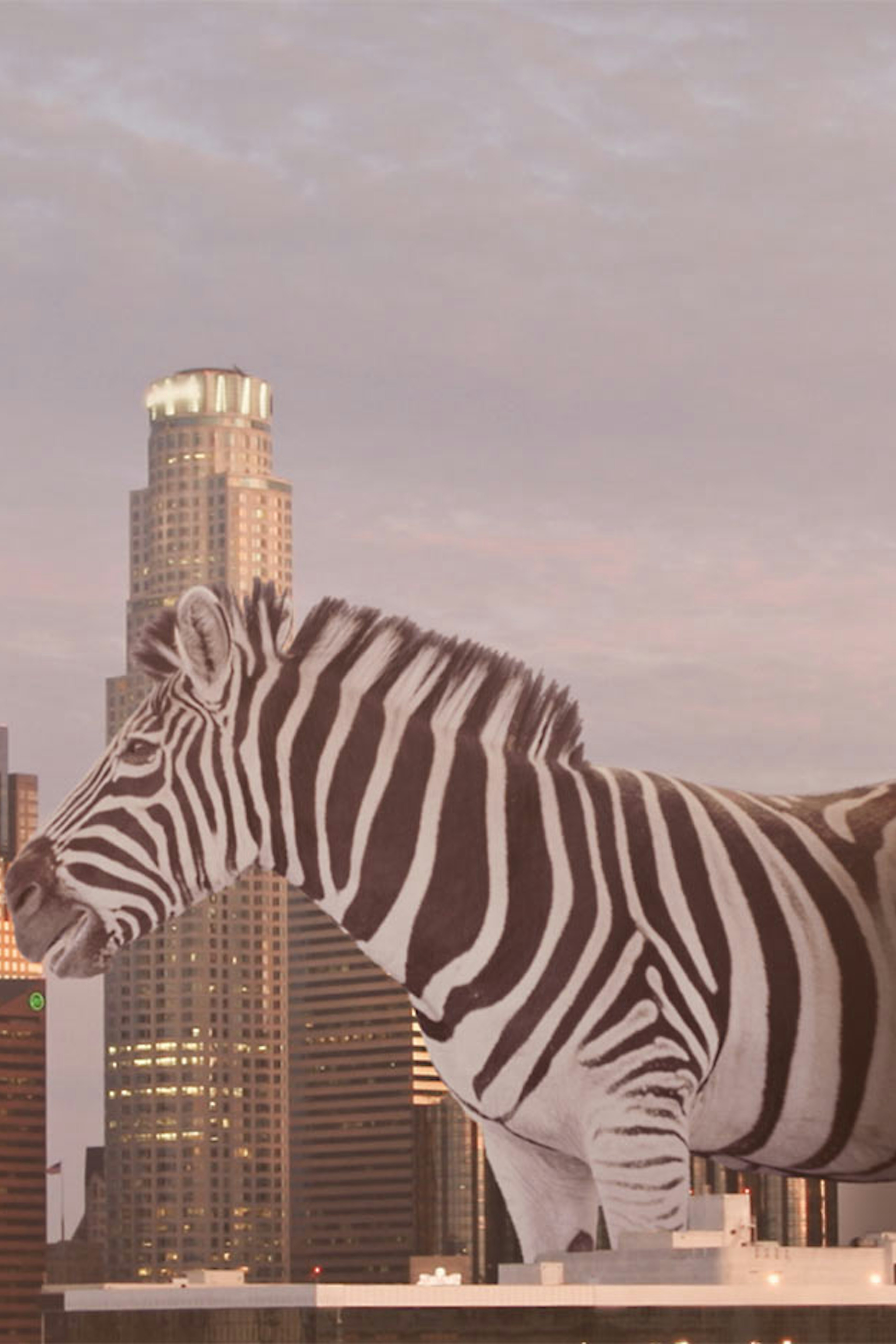 The Best Resources To Get Together, Stay Creative And Inspired