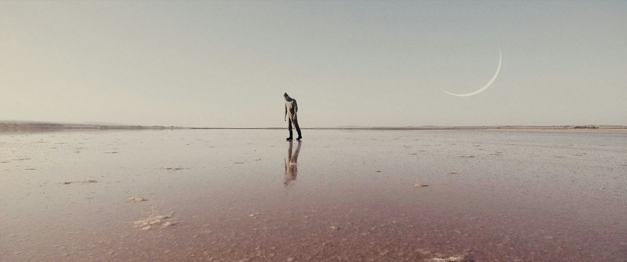 The Robotanist The Robotanist