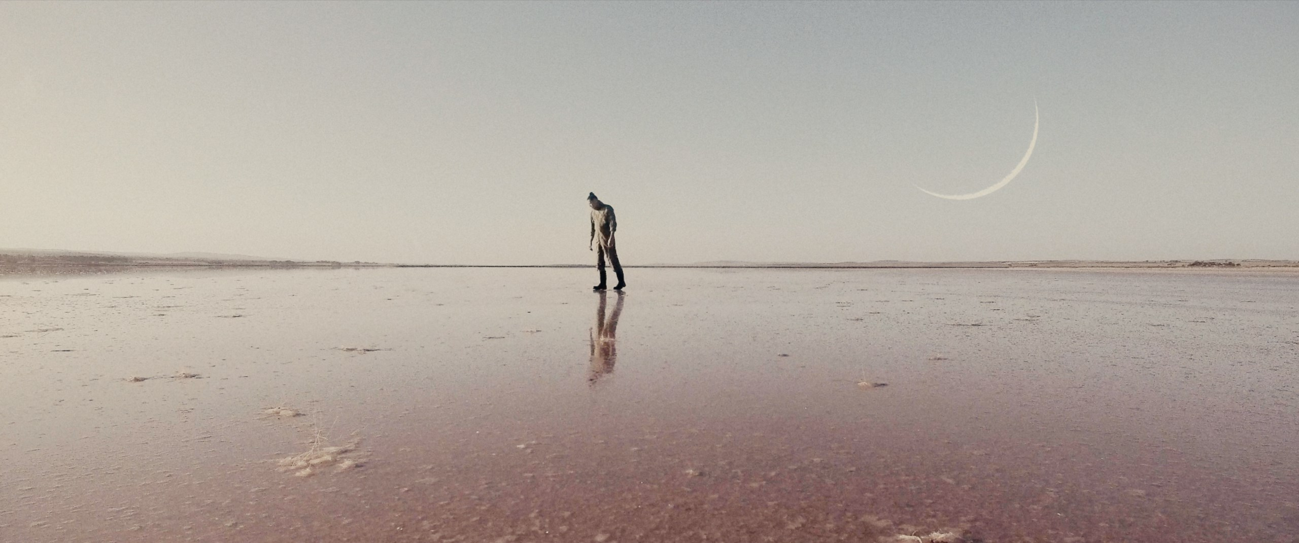 The Robotanist The Robotanist