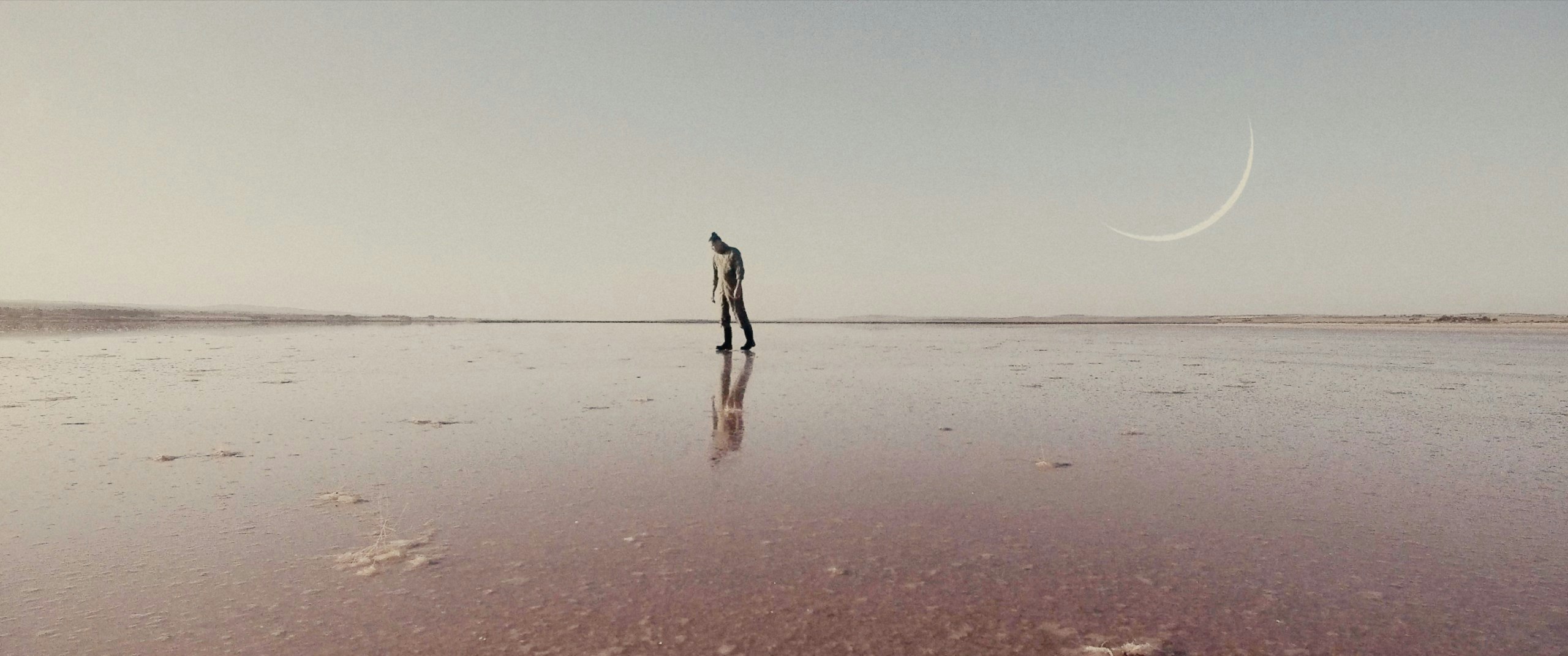 The Robotanist The Robotanist