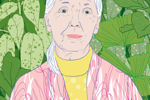 Iness Rychlik - Photographer - Fabrik