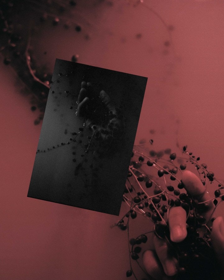 Evan Burris Trout Evan Burris Trout