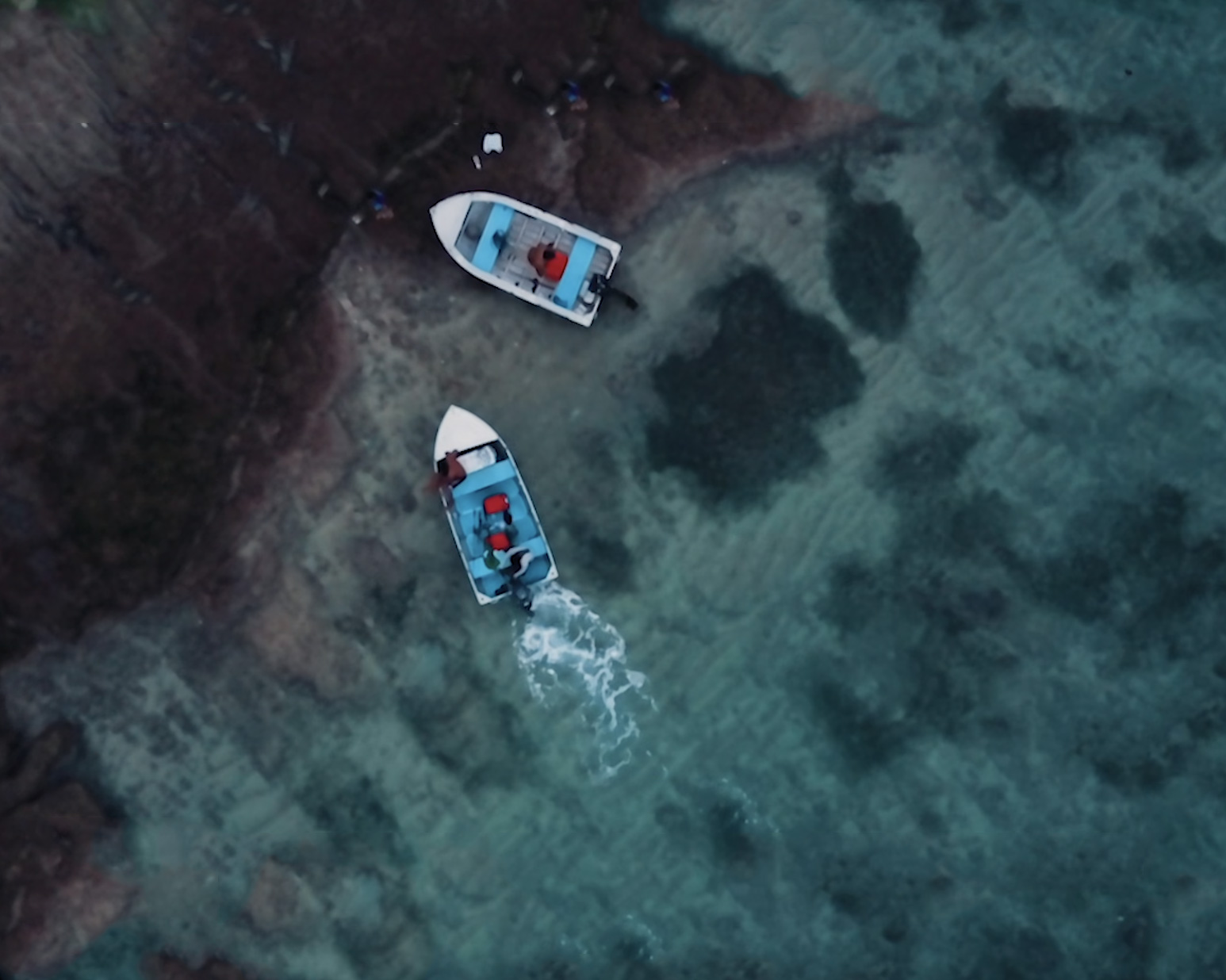 Electric Lime Electric Lime