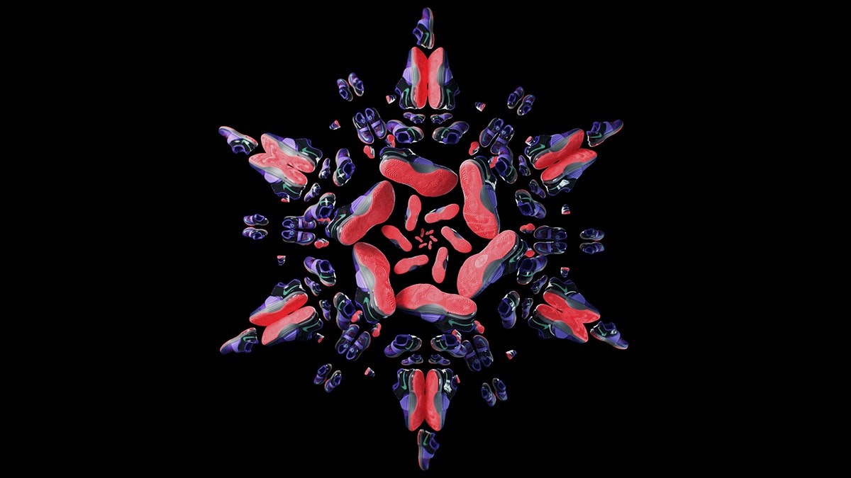 Jon Noorlander Jon Noorlander