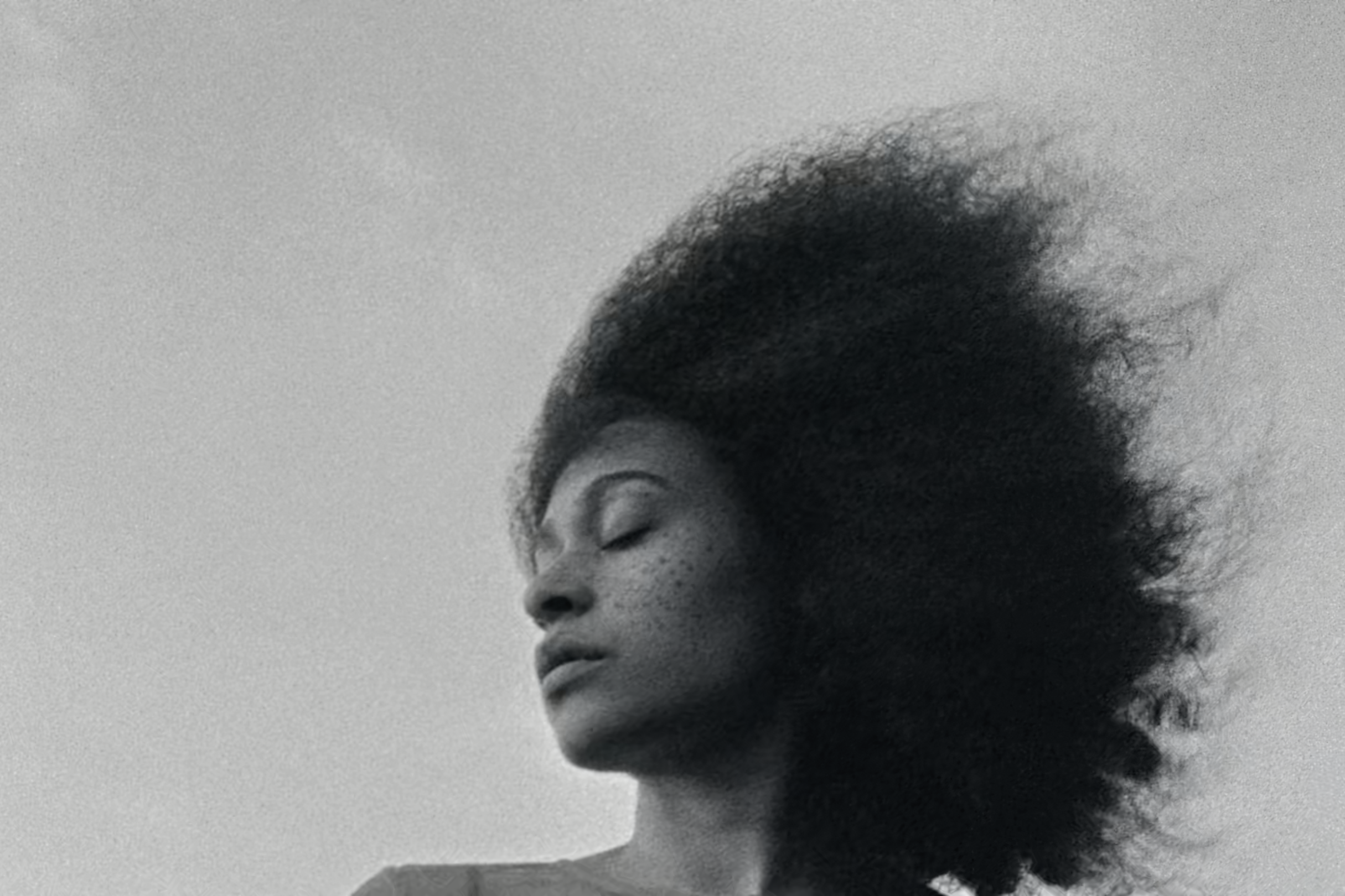 The Ayes Have It The Ayes Have It