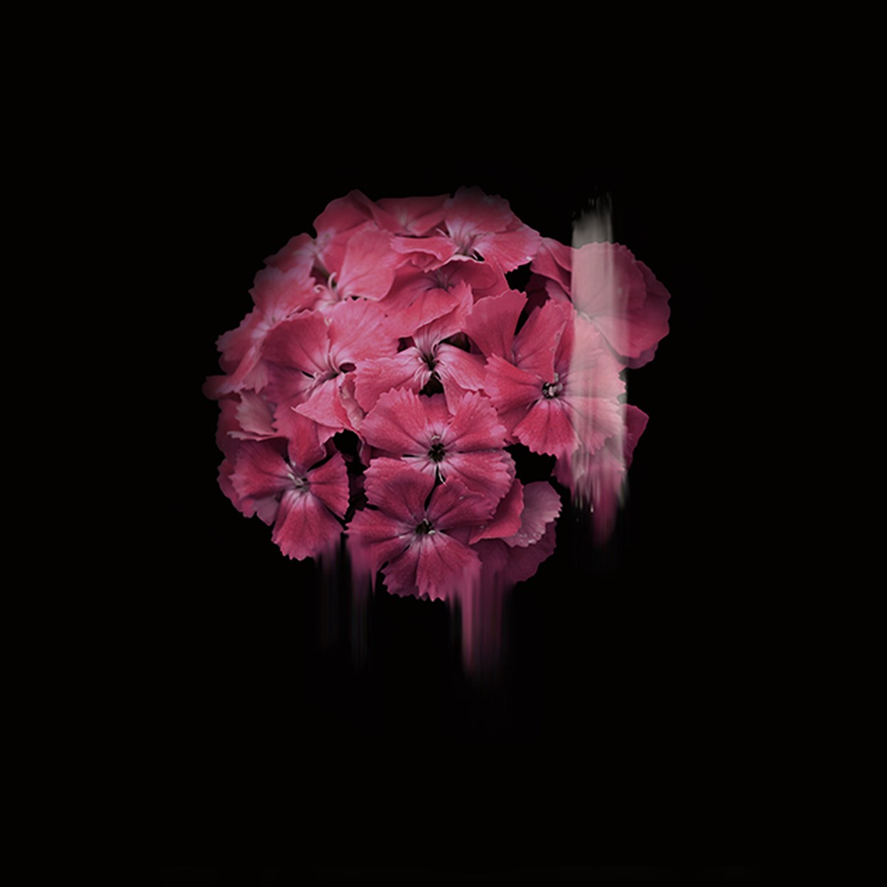 Simone Webb Simone Webb