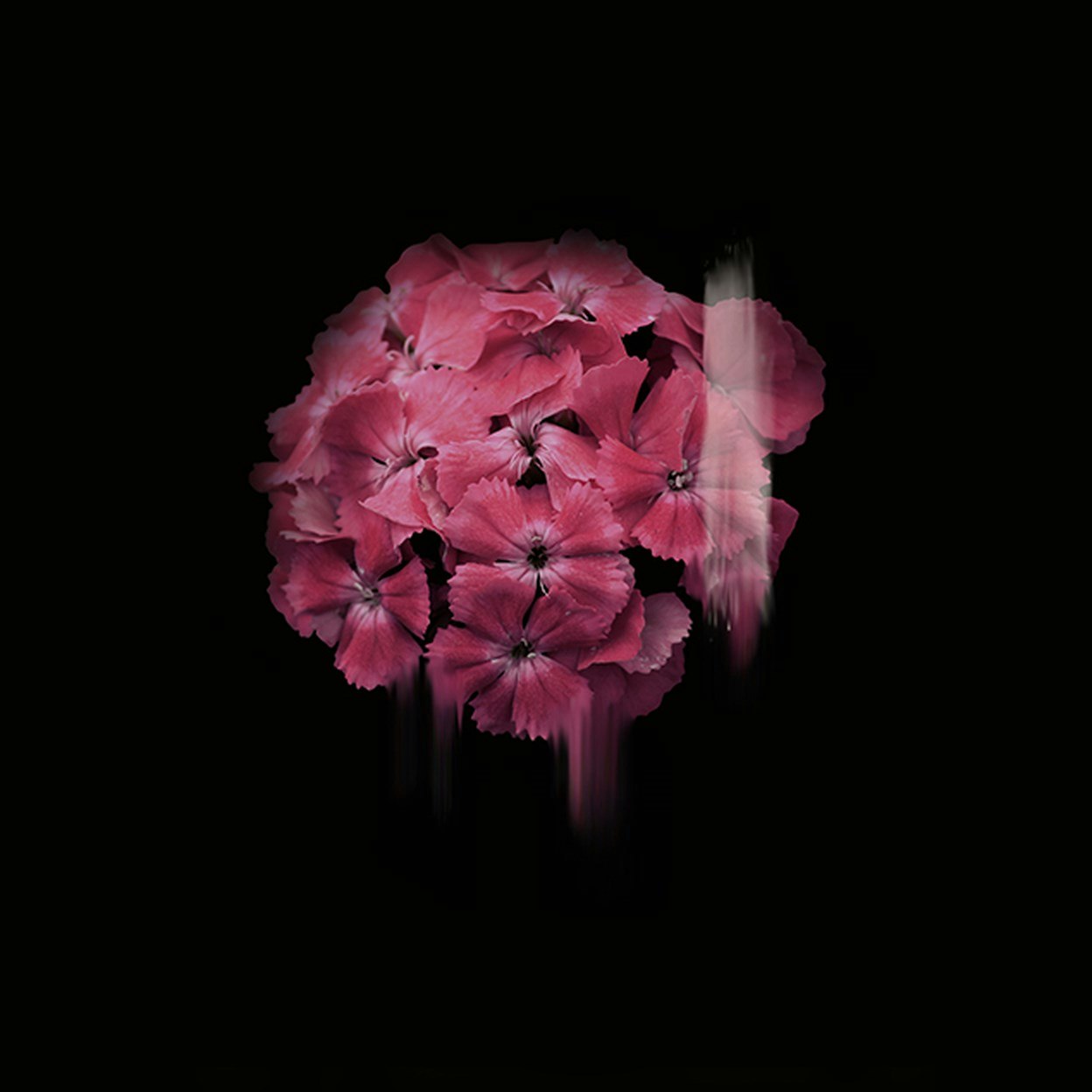 Simone Webb Simone Webb