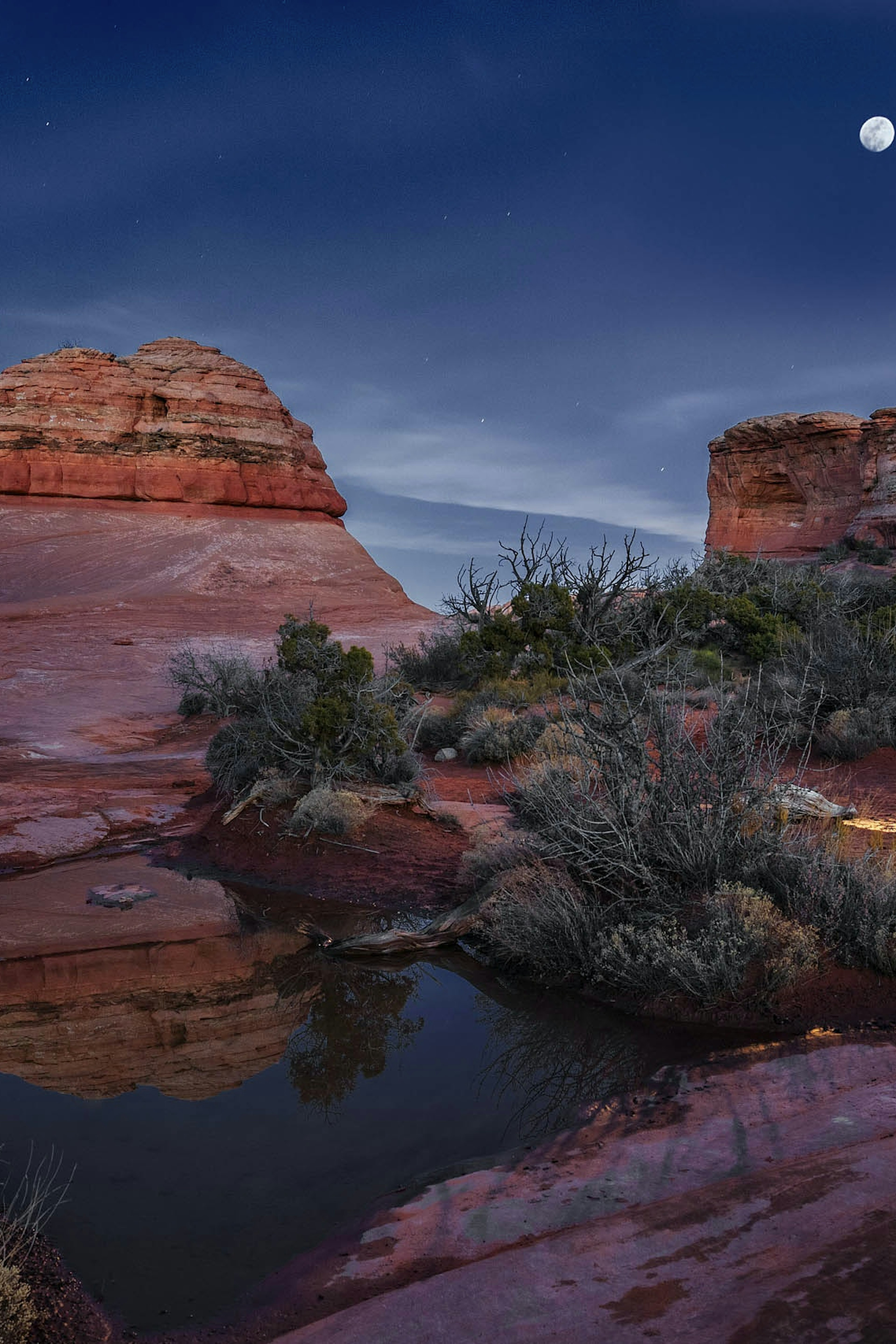 Fabrik Conditioner - February 2022