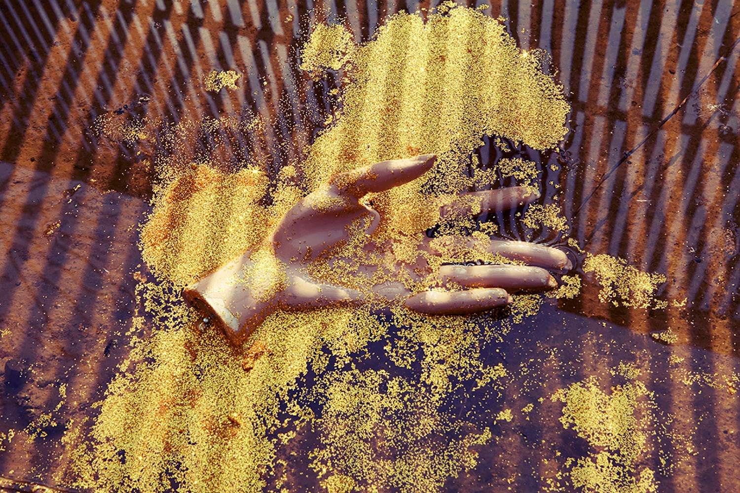 Franz Galo Franz Galo