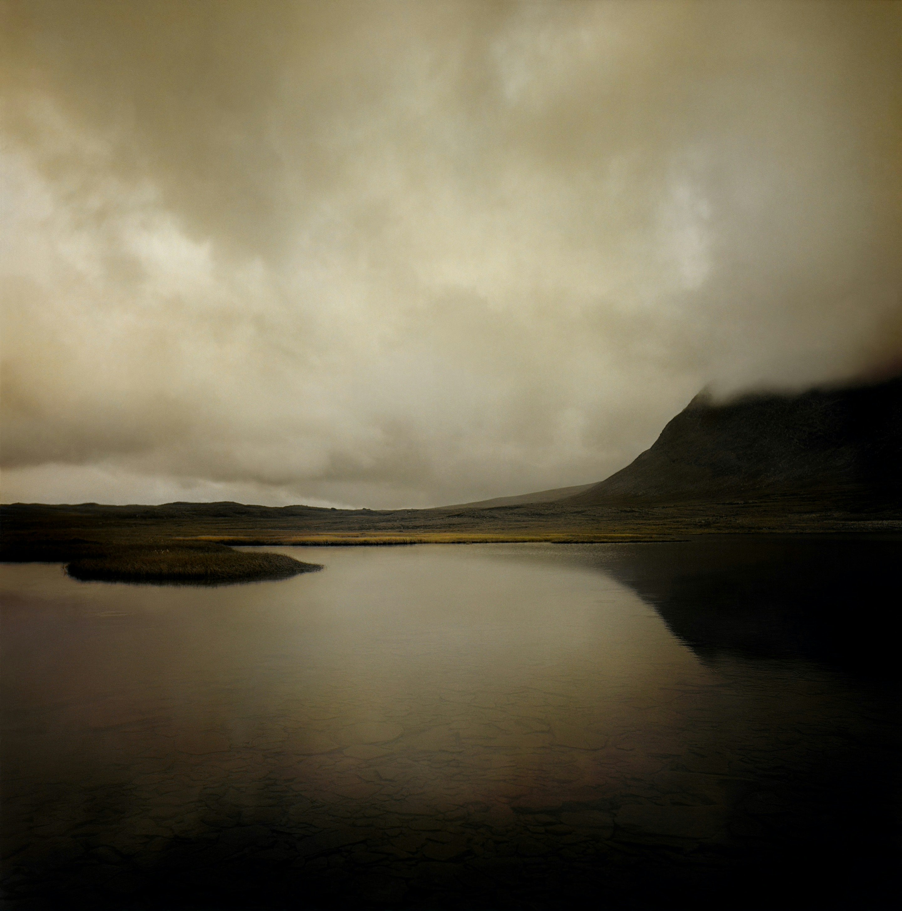 David Edwards