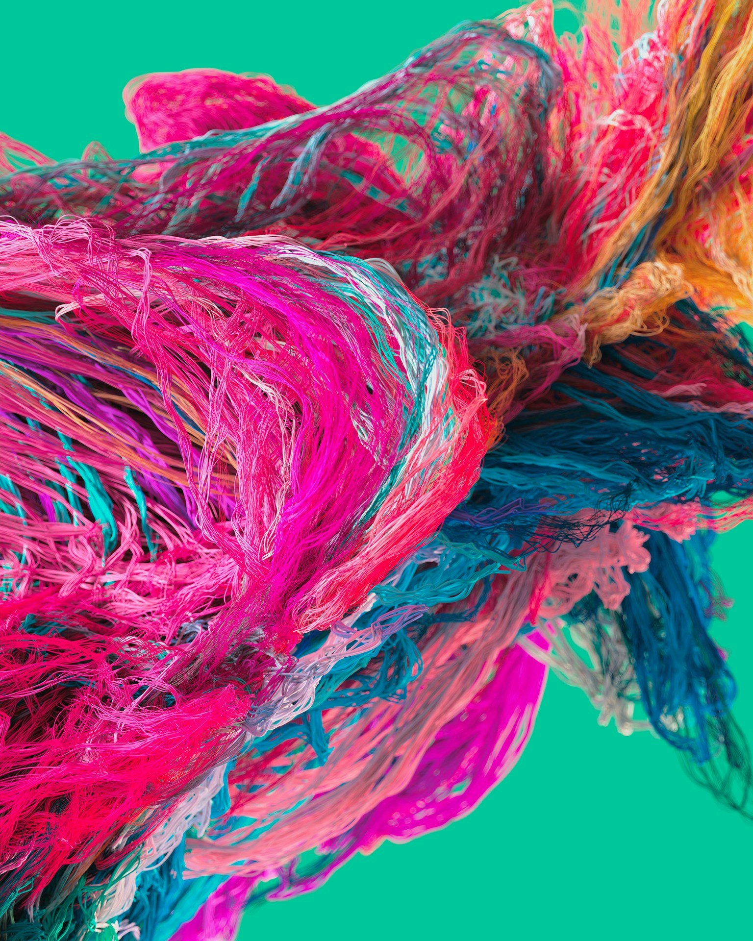 Jon Noorlander Jon Noorlander