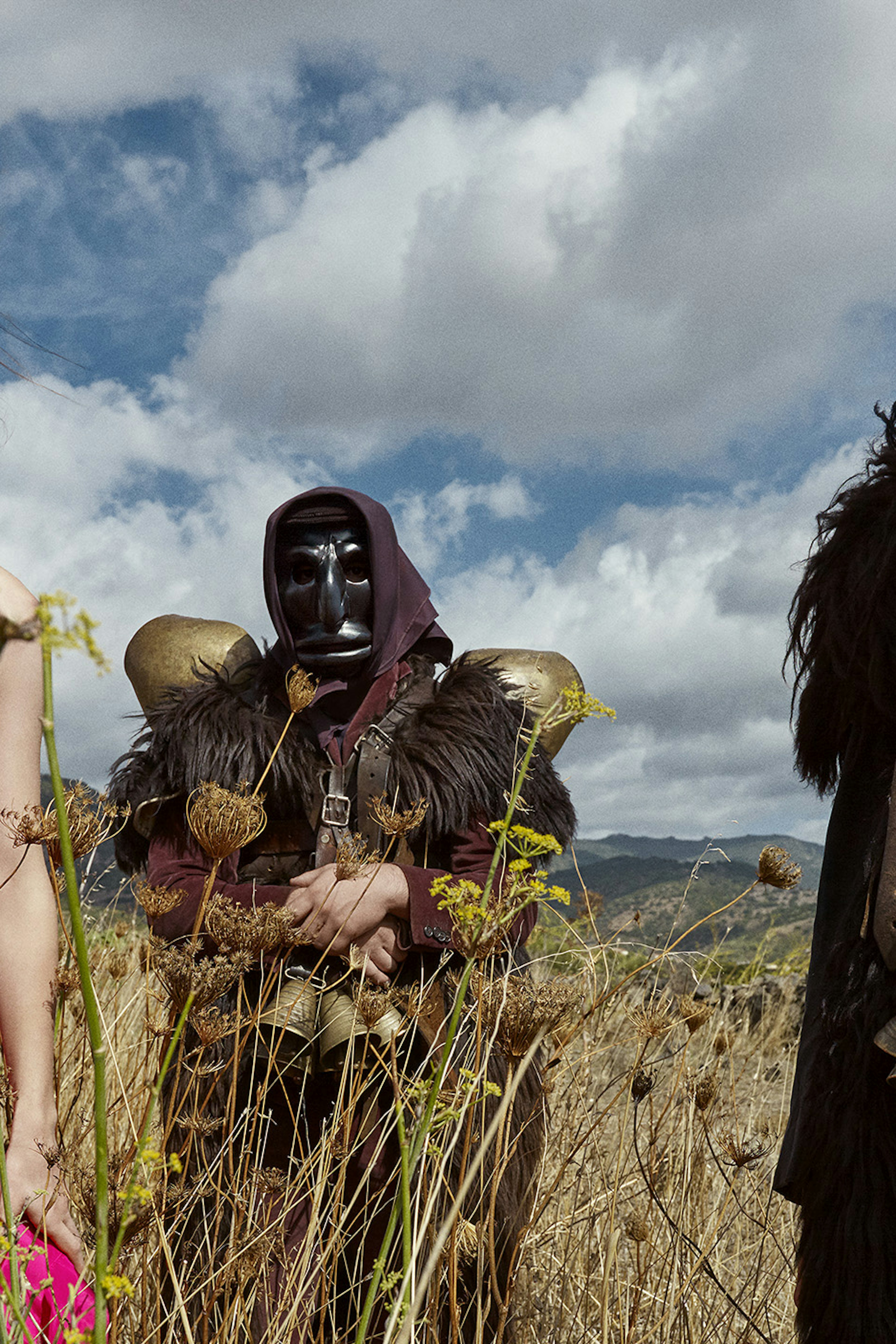 Photographers on Fabrik: A Deep Dive into 120 Portfolio Websites