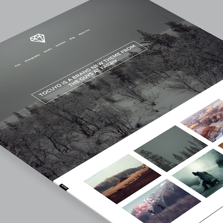 Fabrik - Introducing Tocuyo