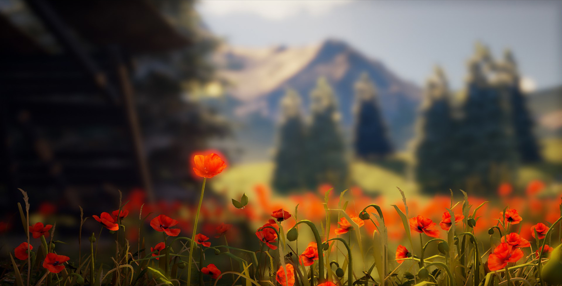 Jody Sargent Jody Sargent