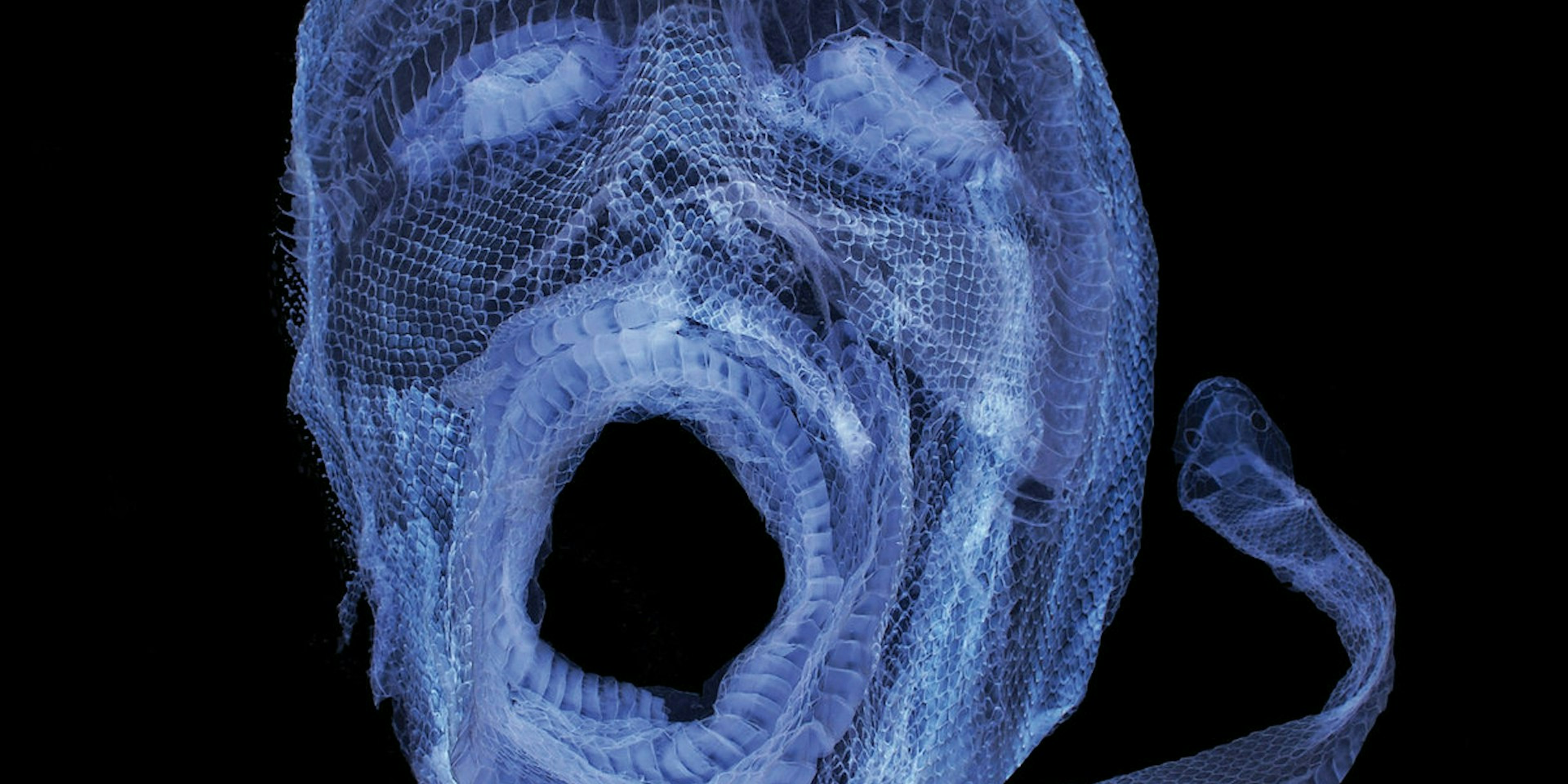 Fabrik Conditioner: November 2023