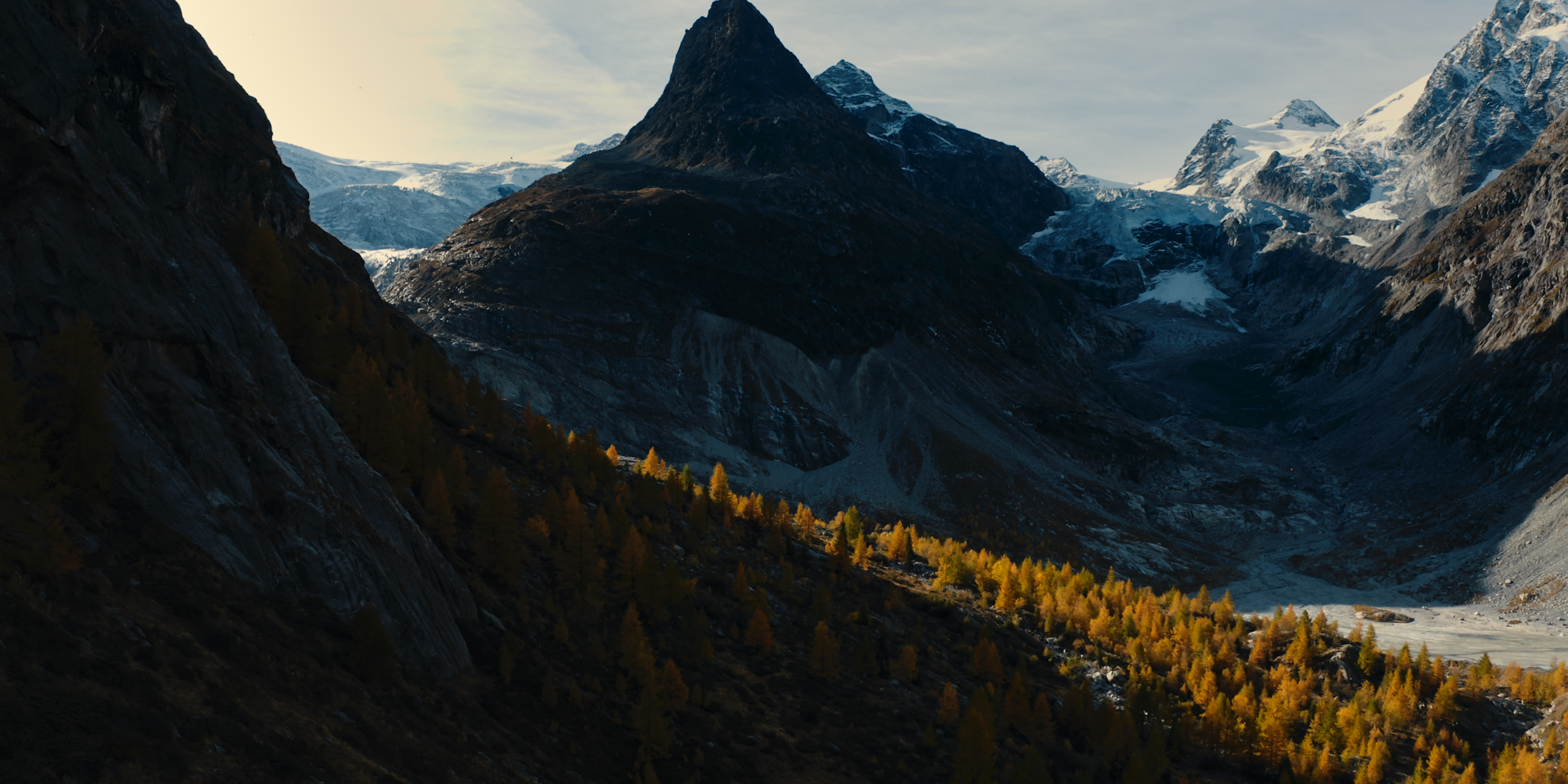 Portfolio Complete: November 2023