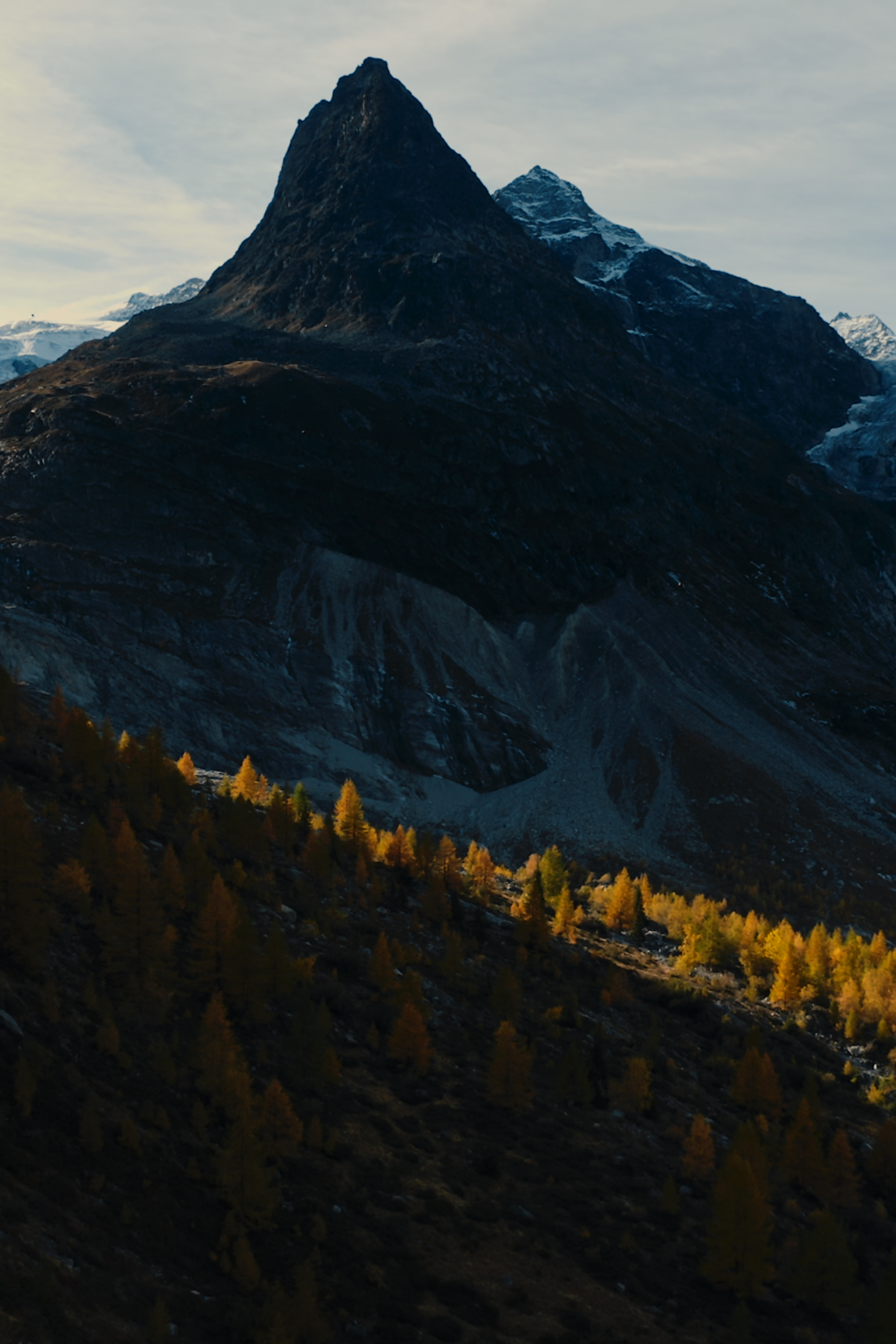 Portfolio Complete: November 2023