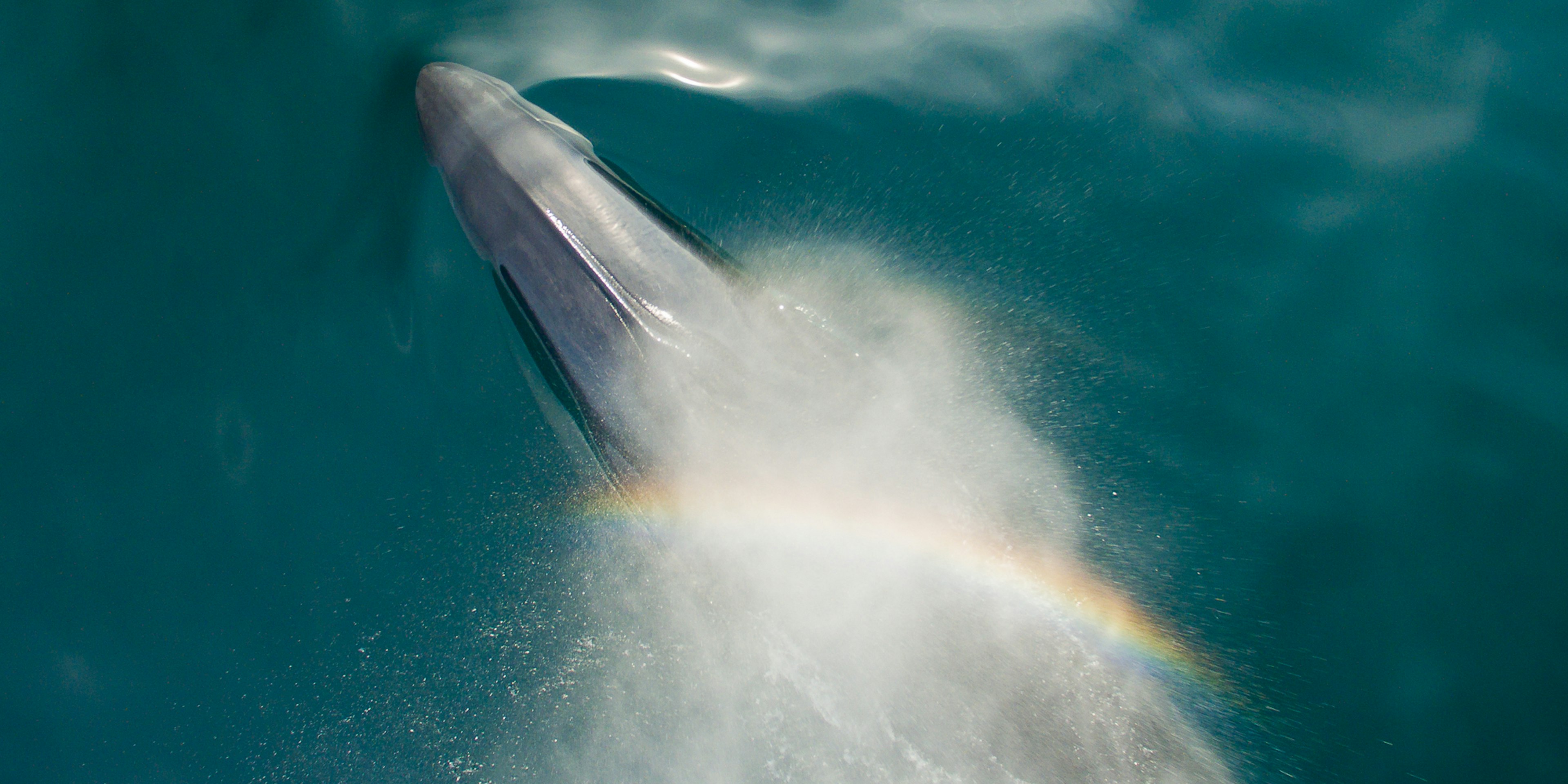 Portfolio Complete - November 2018