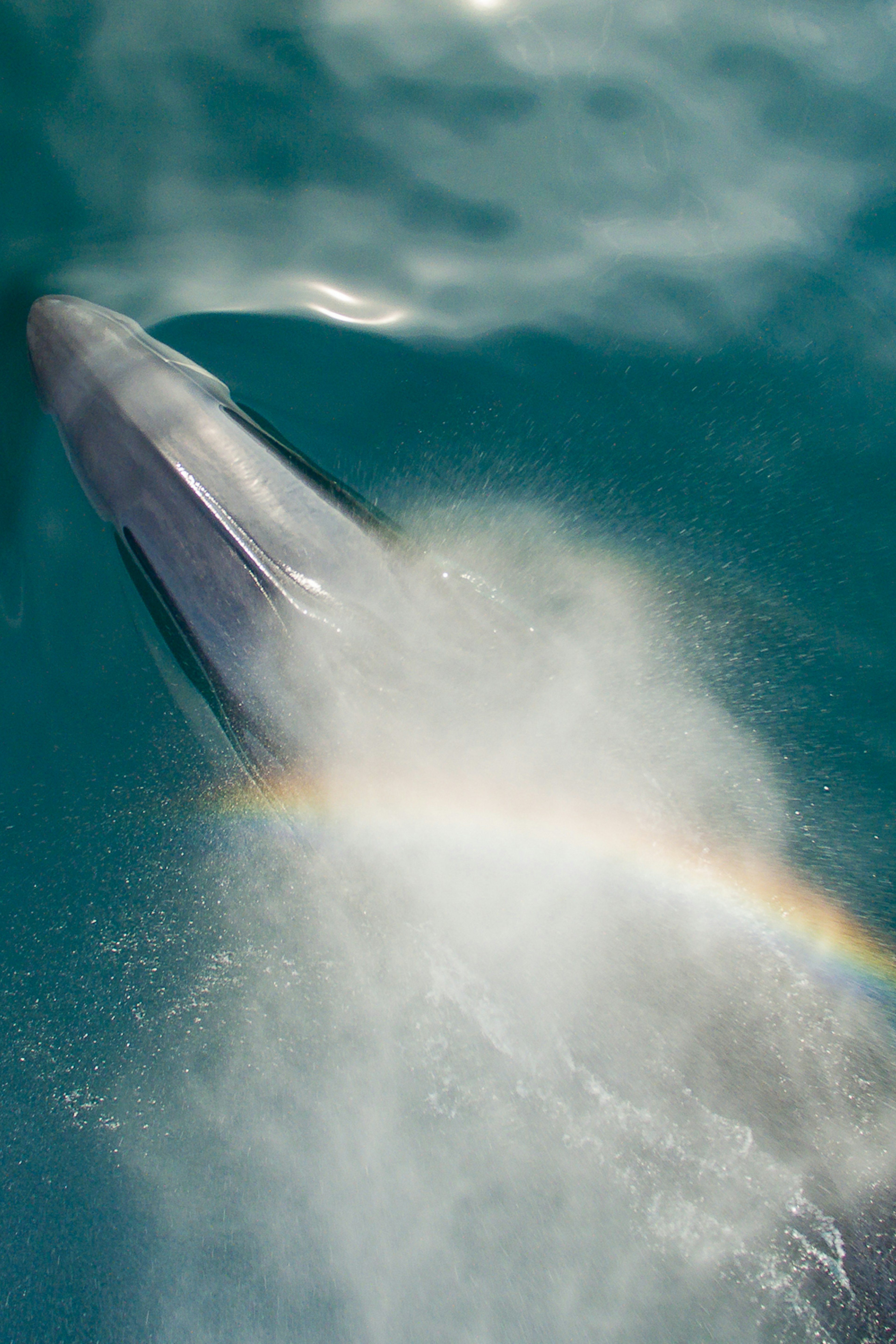 Portfolio Complete - November 2018