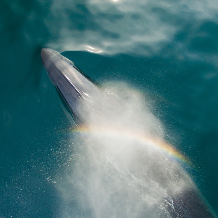 Fabrik - Portfolio Complete - November 2018