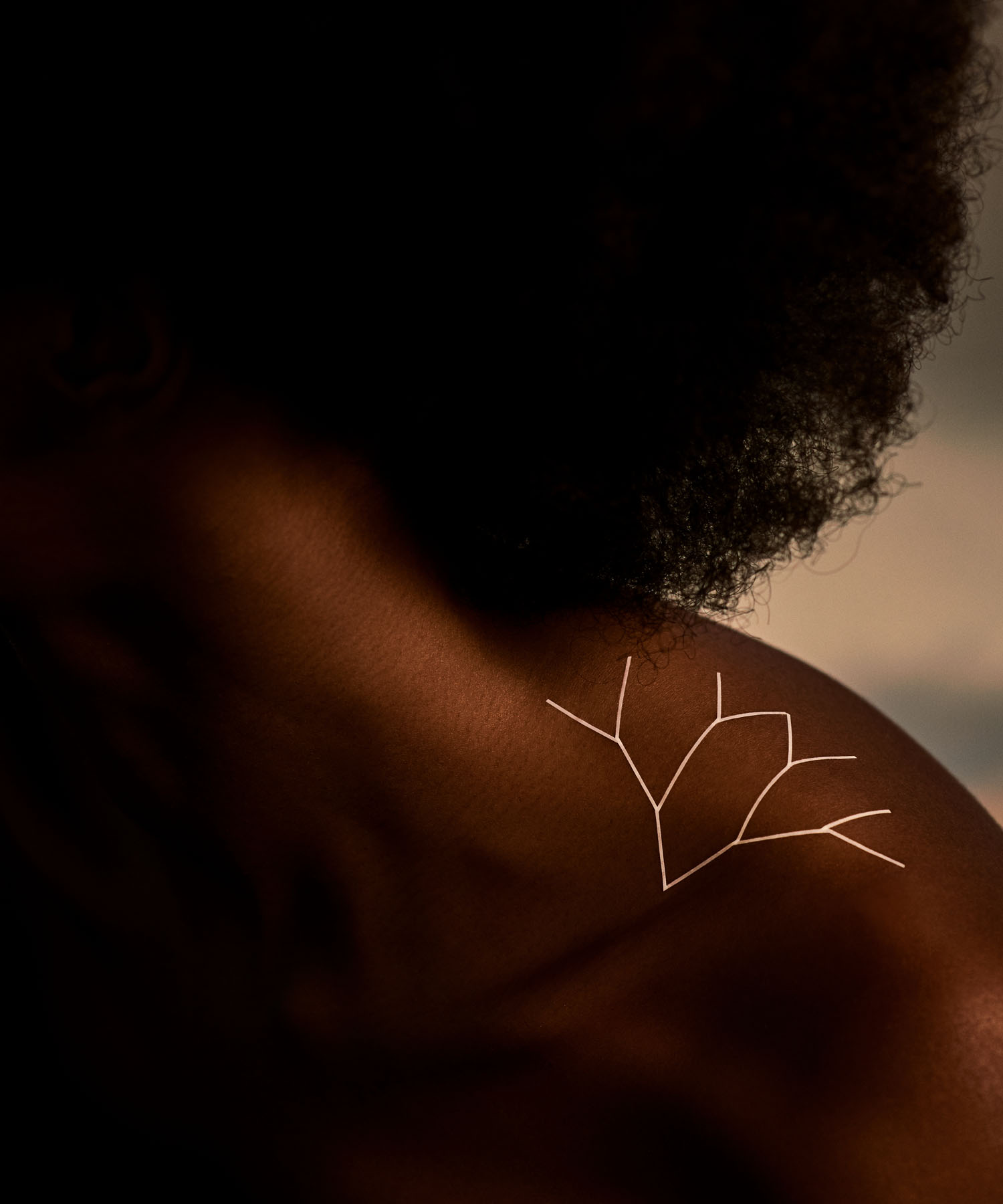 Poppy France - Fractals Poppy France - Fractals