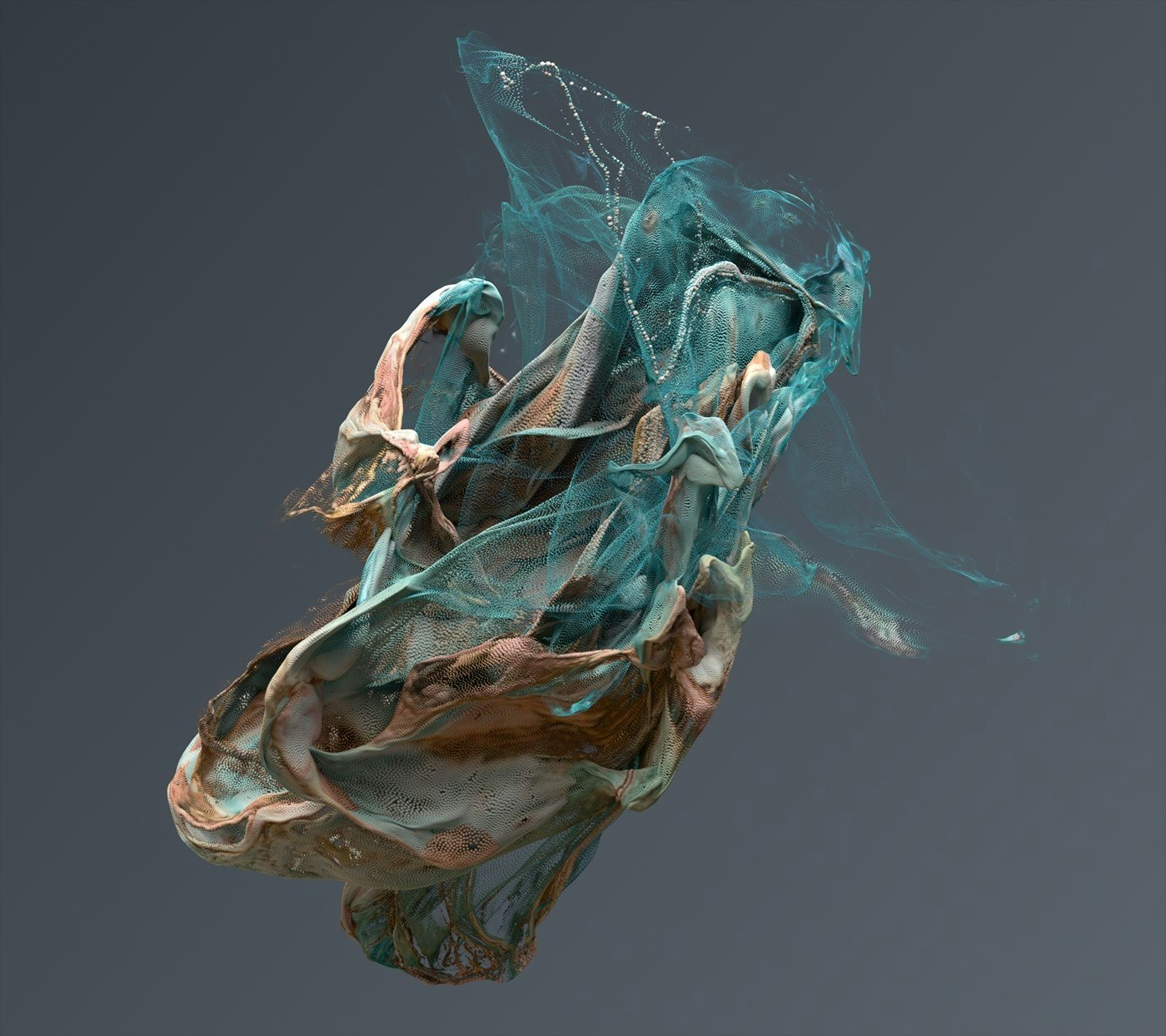 Jon Noorlander Jon Noorlander