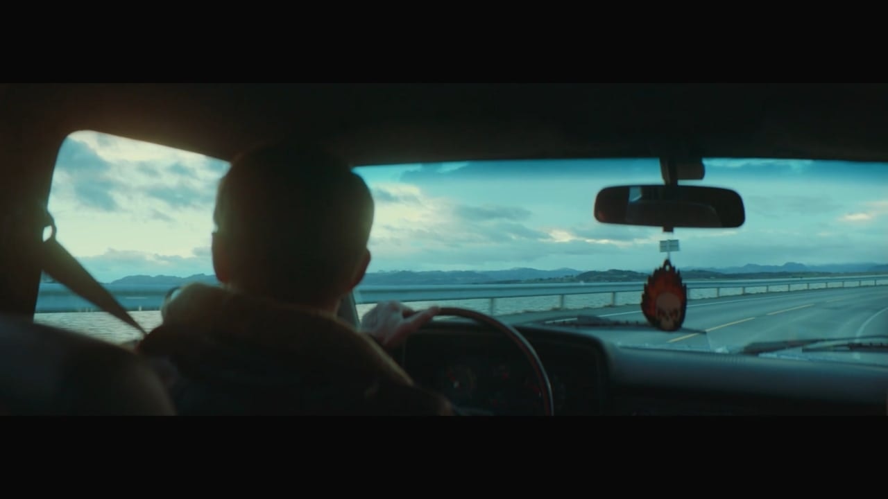 Daniel Voldheim - 1881 Daniel Voldheim - 1881