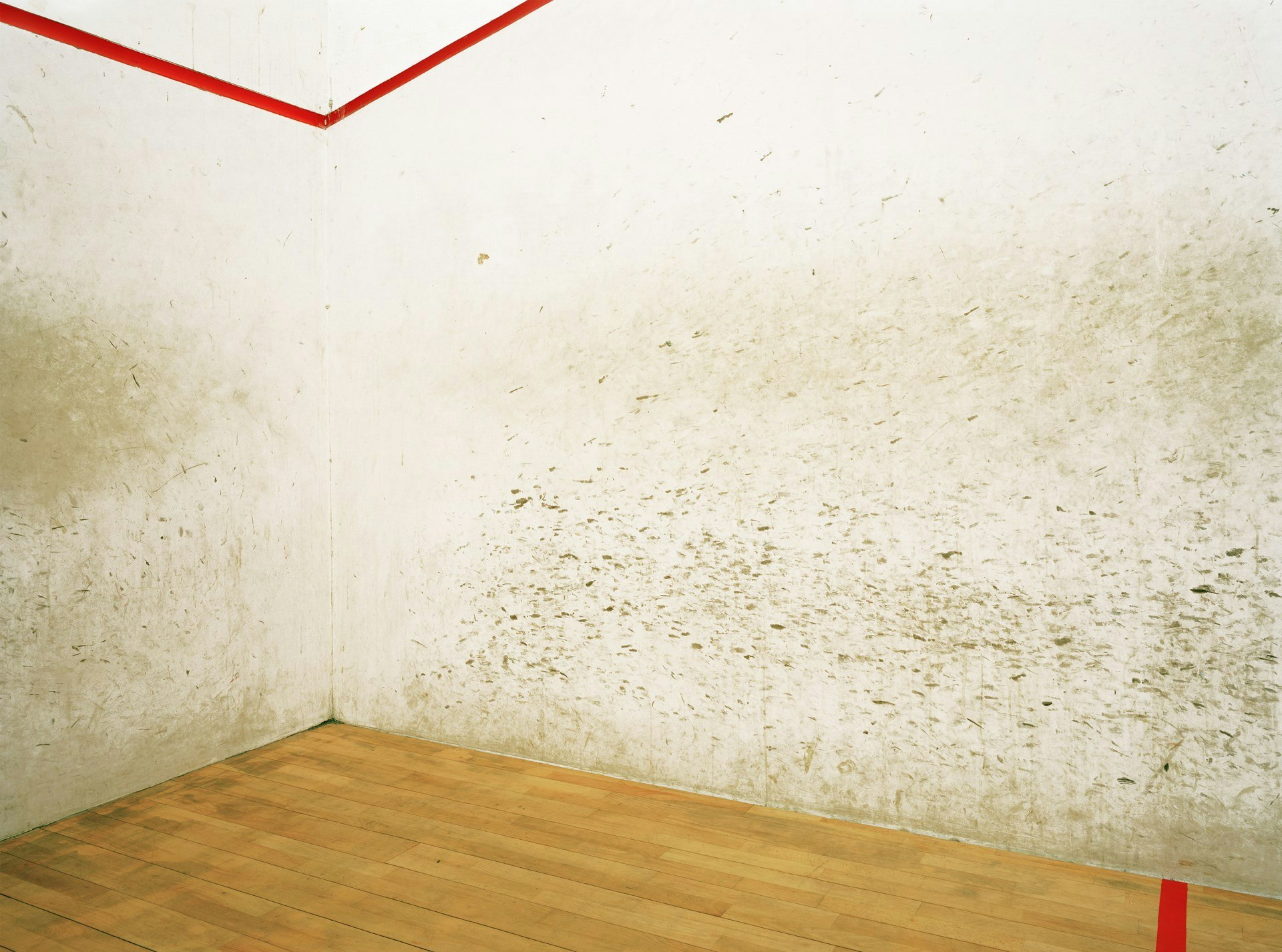 Elliot Wilcox Elliot Wilcox