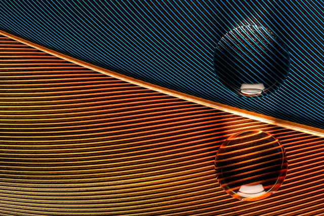 Iness Rychlik - Photographer - Fabrik