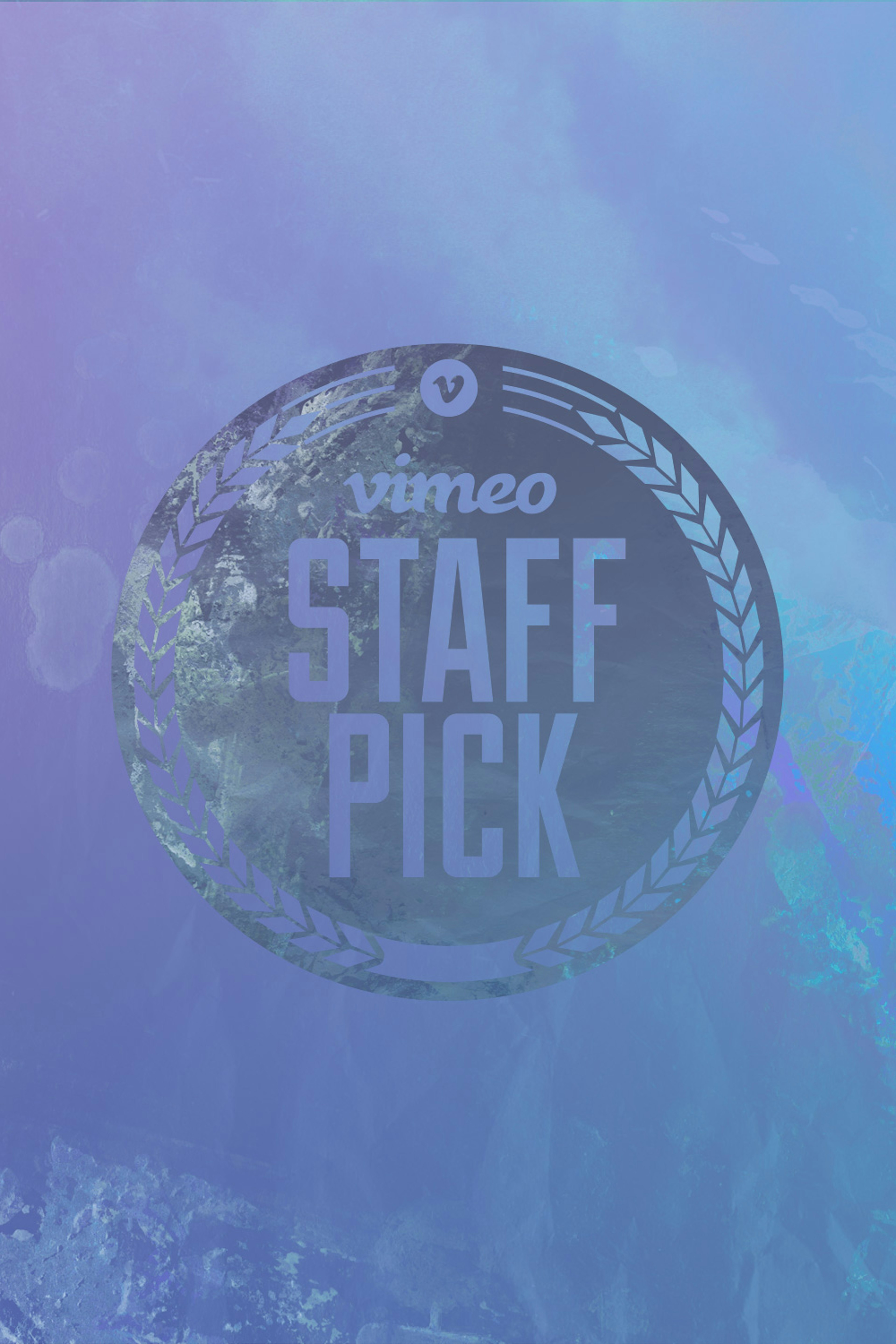 Vimeo Staff Picks Volume 2