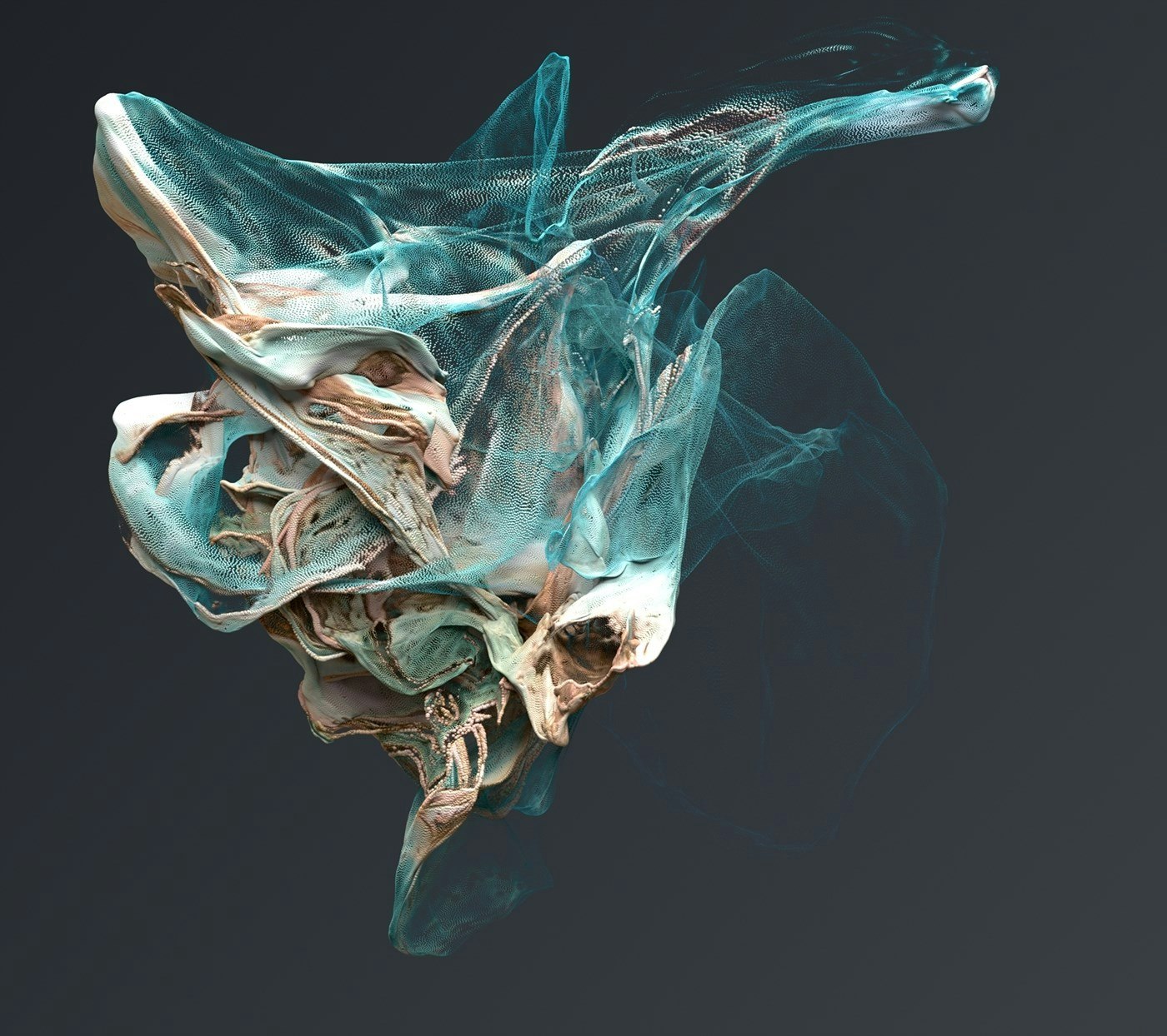 Jon Noorlander Jon Noorlander