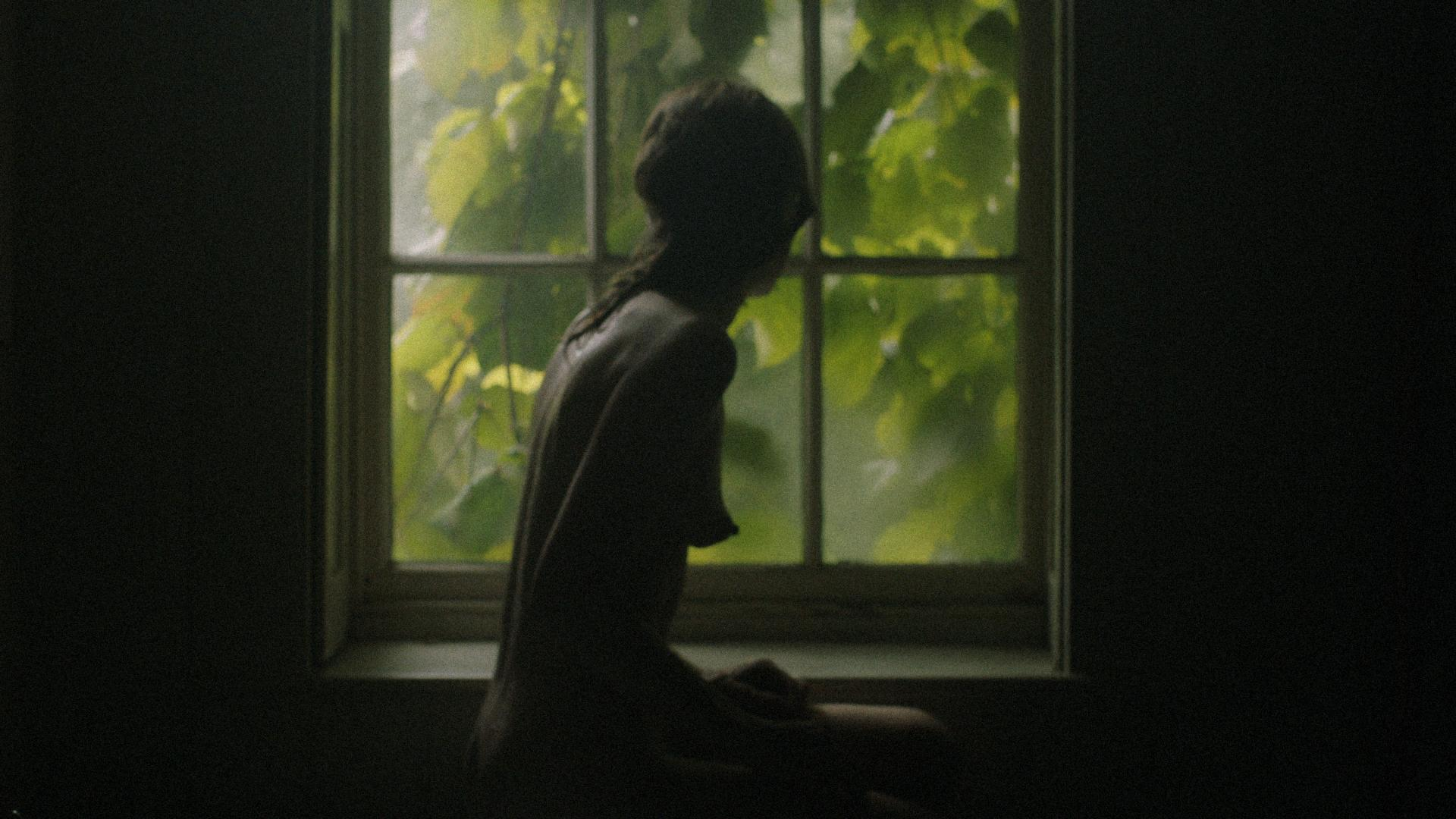 100 Vaginas 100 Vaginas