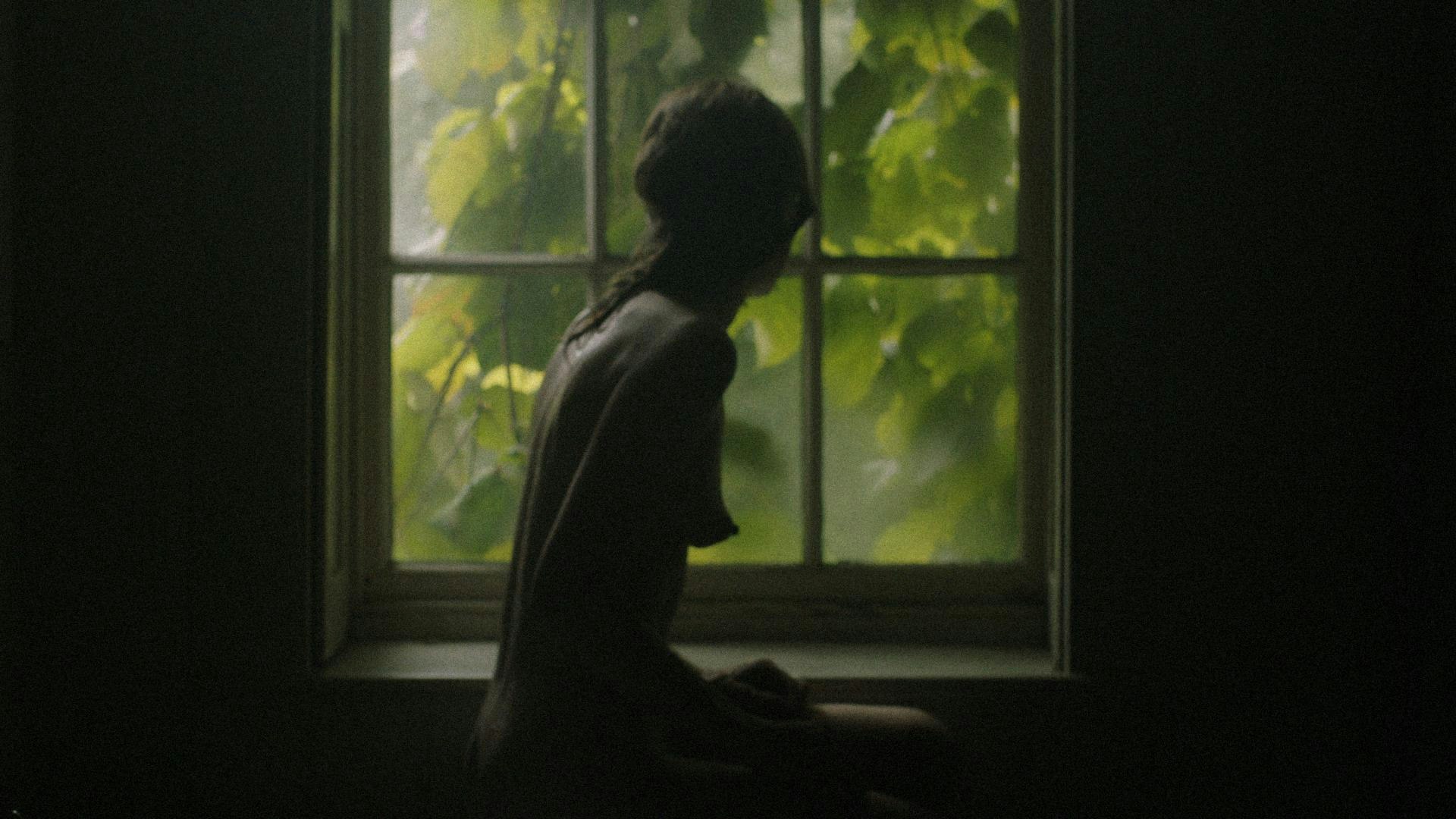 100 Vaginas 100 Vaginas