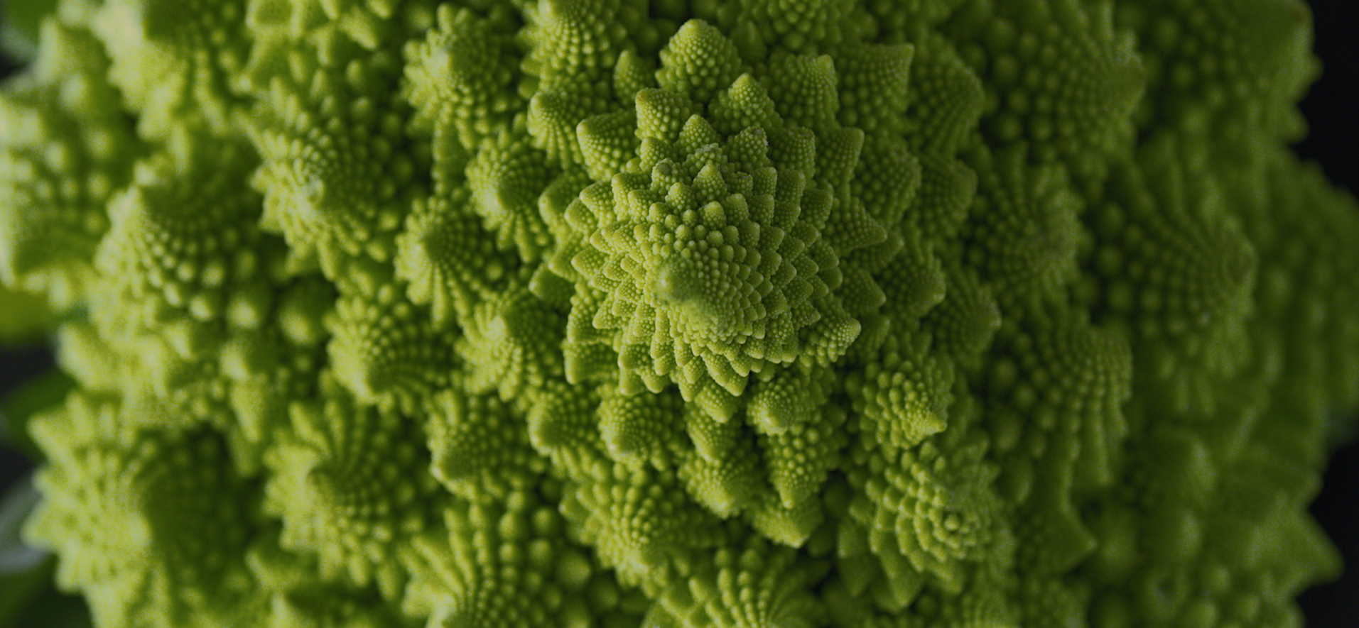 Nick Marchant - Gaggenau Limitless Imagination Nick Marchant - Gaggenau Limitless Imagination