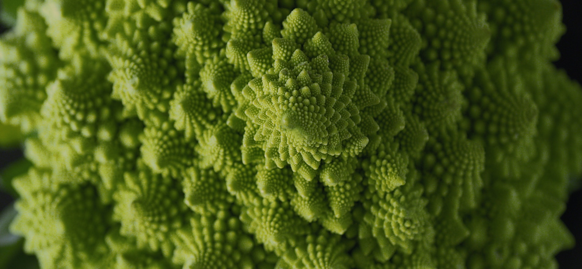 Nick Marchant  - Gaggenau Limitless Imagination Nick Marchant  - Gaggenau Limitless Imagination