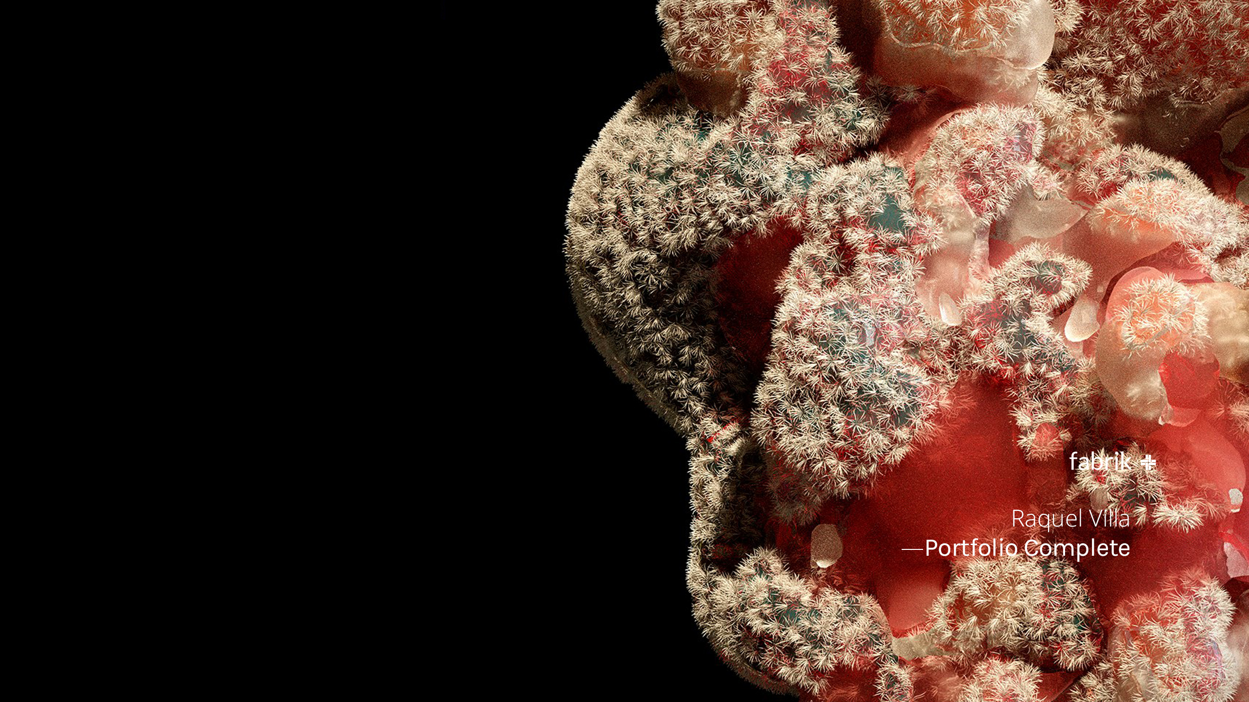 Raquel Villa Raquel Villa