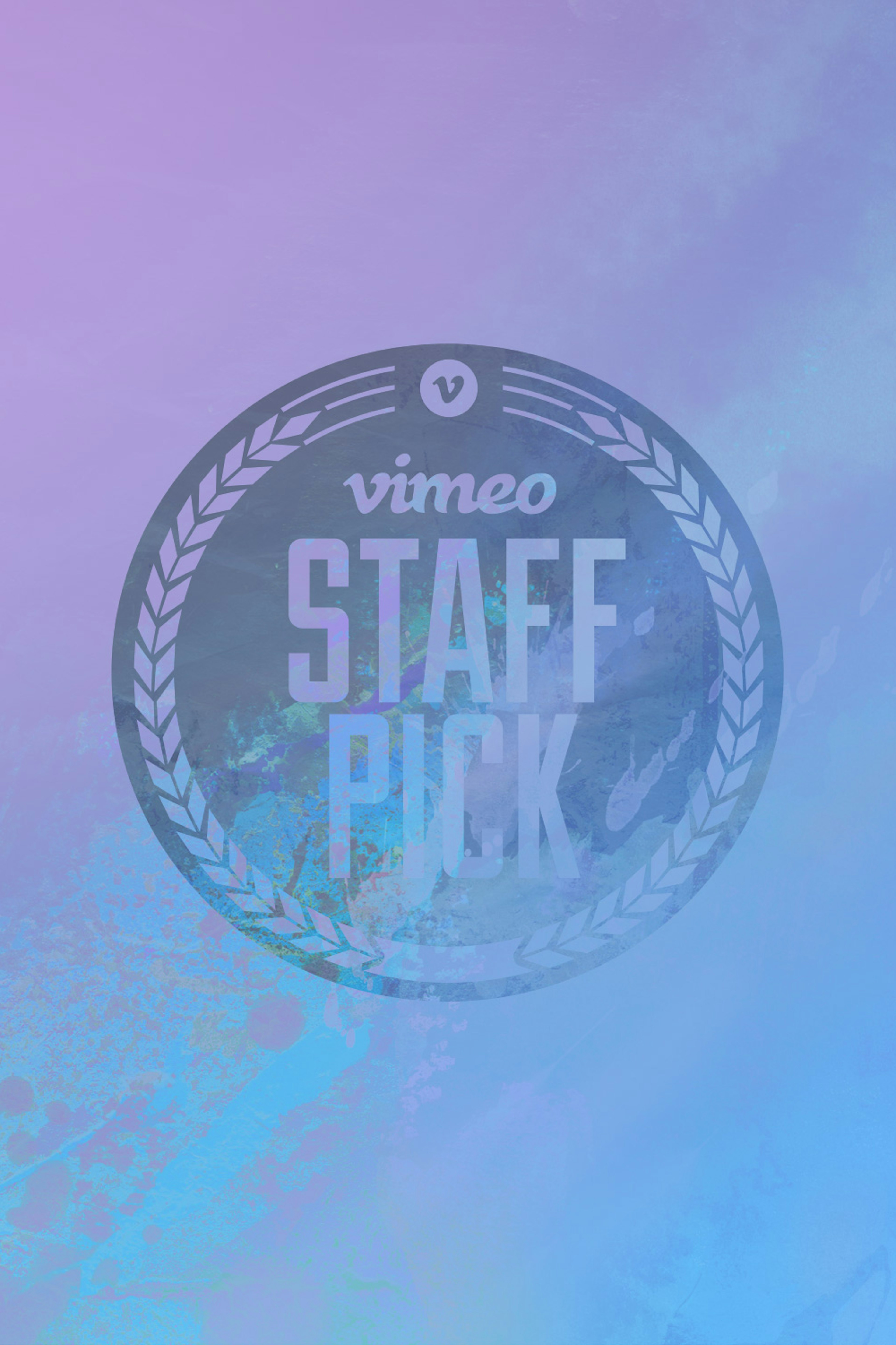 Vimeo Staff Picks Volume 5