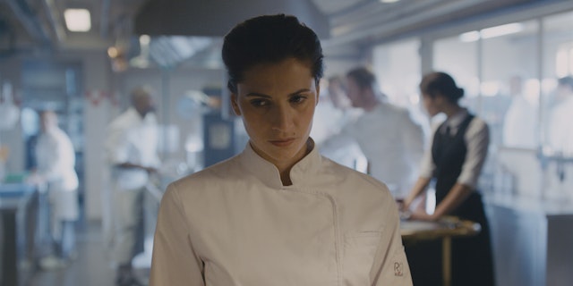 ZCHEFS5b