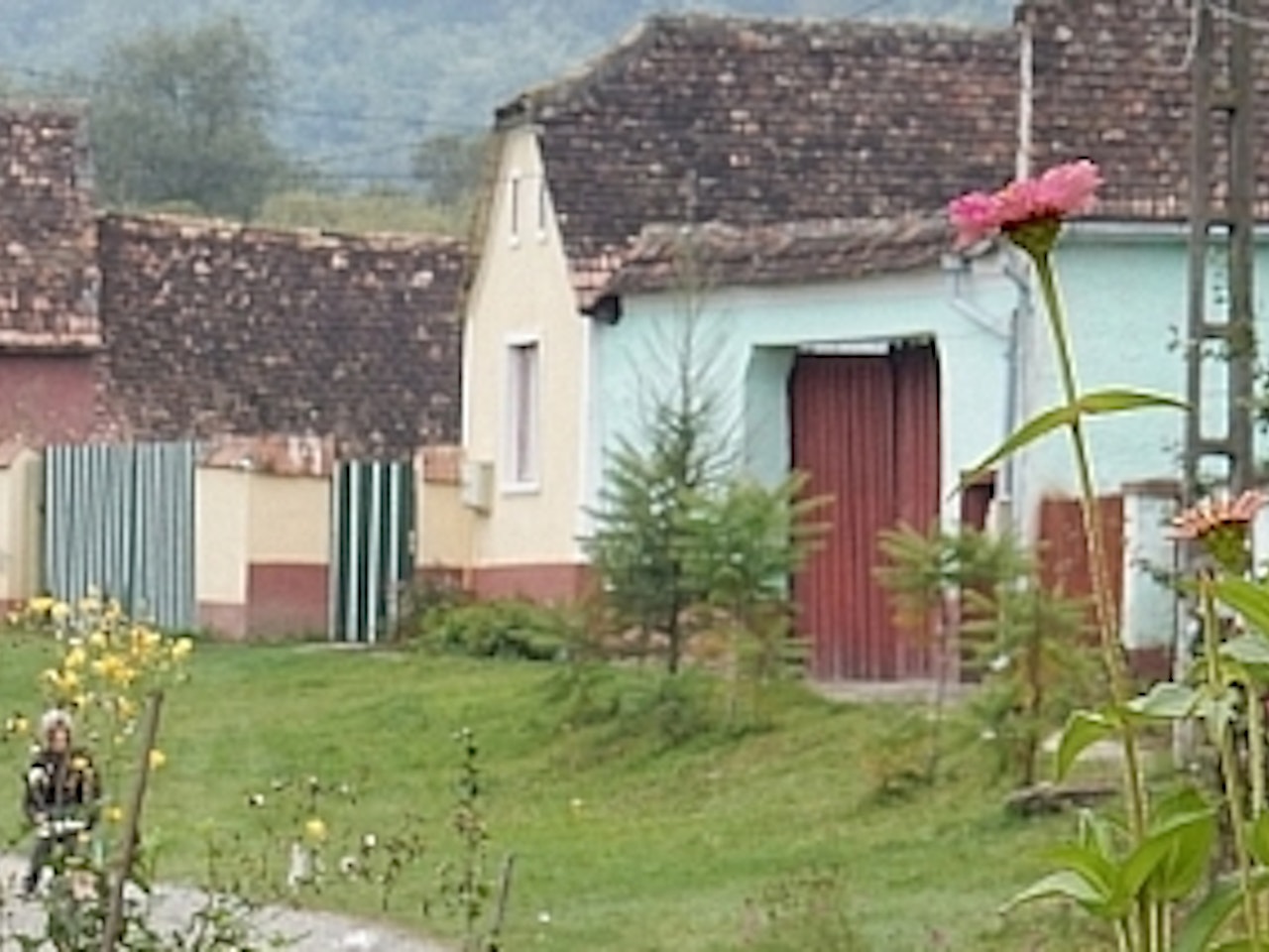Transylvania