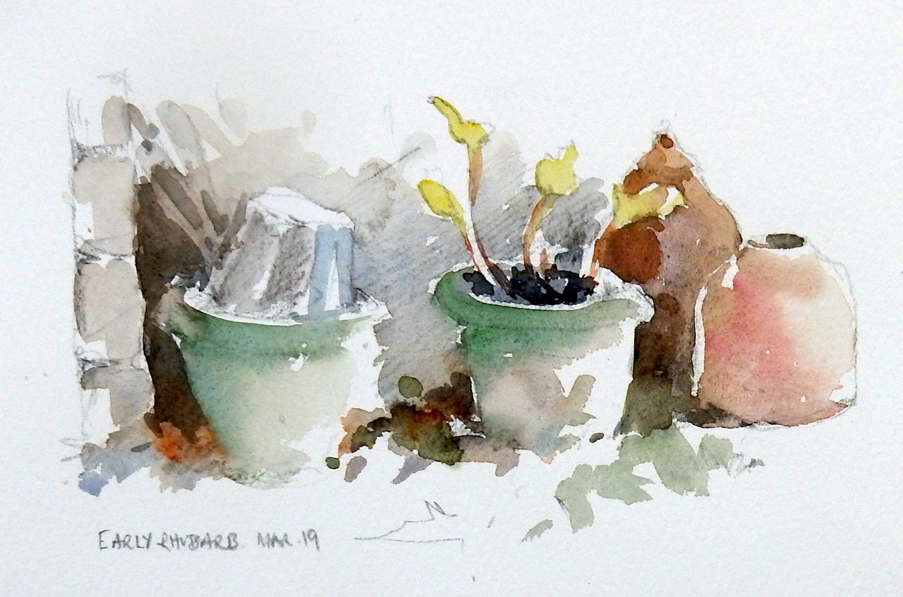 21 Rhubarb pots sketch £135